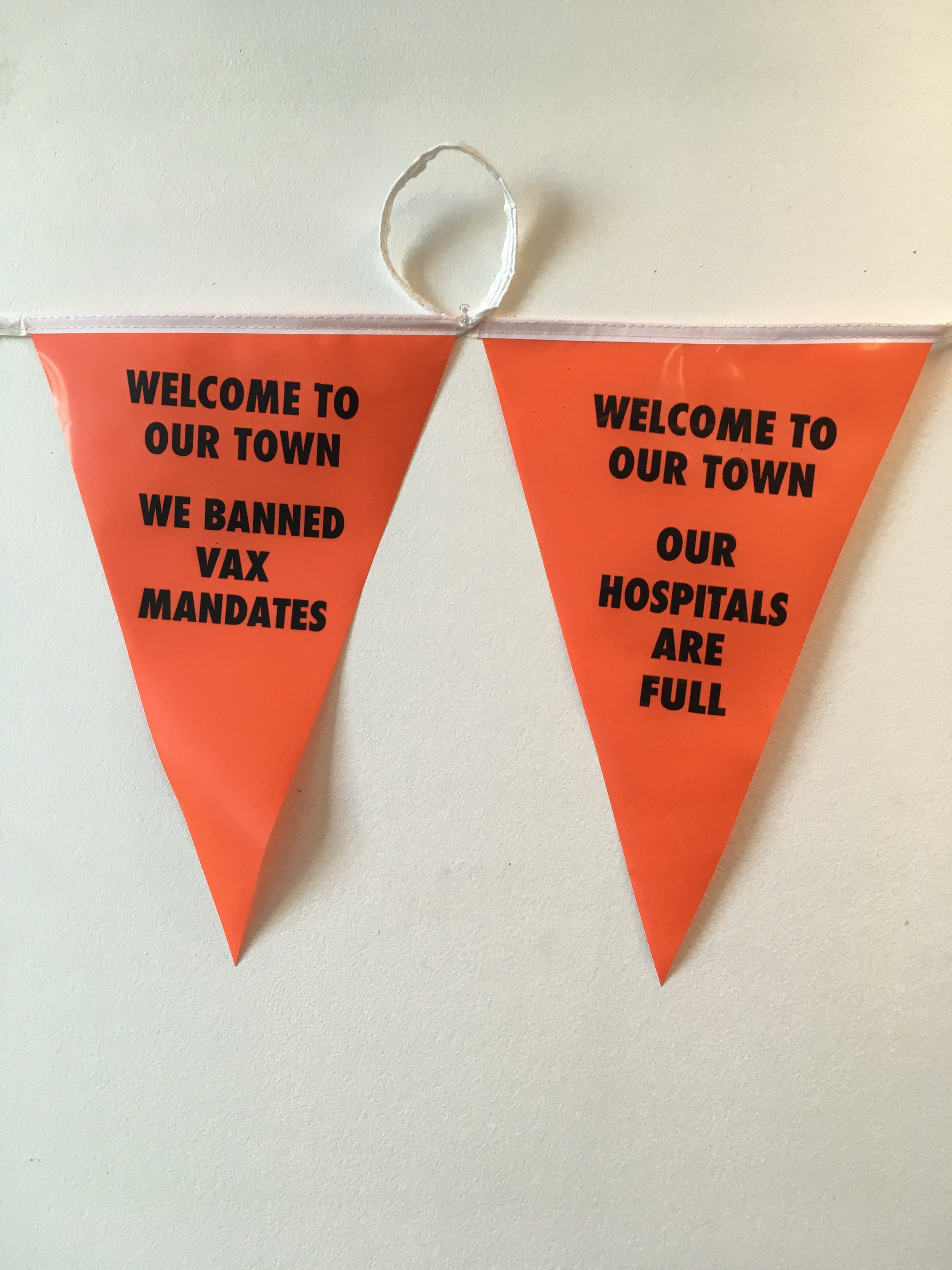 Bunting (Welcome to Our Town)/Vax Ban+ Hospitals