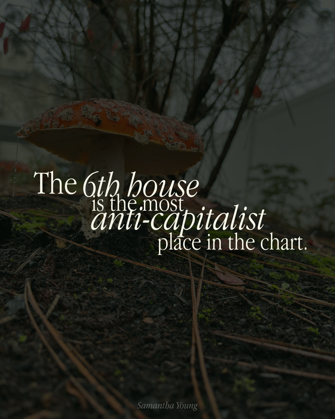 The 6th house is the most anti-capitalist place in the chart