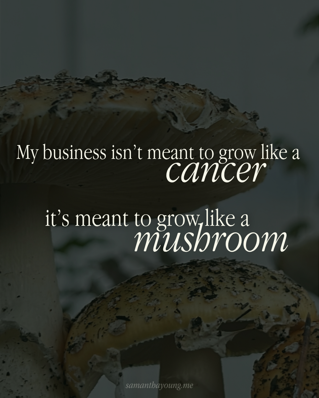 I don’t want to scale