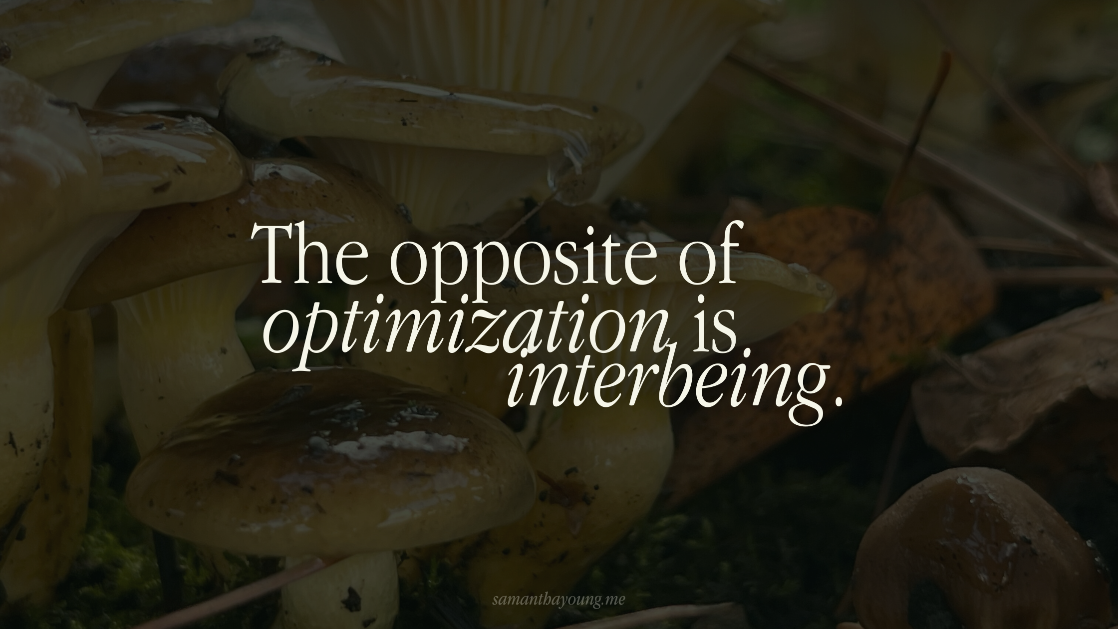 The opposite of optimization is interbeing