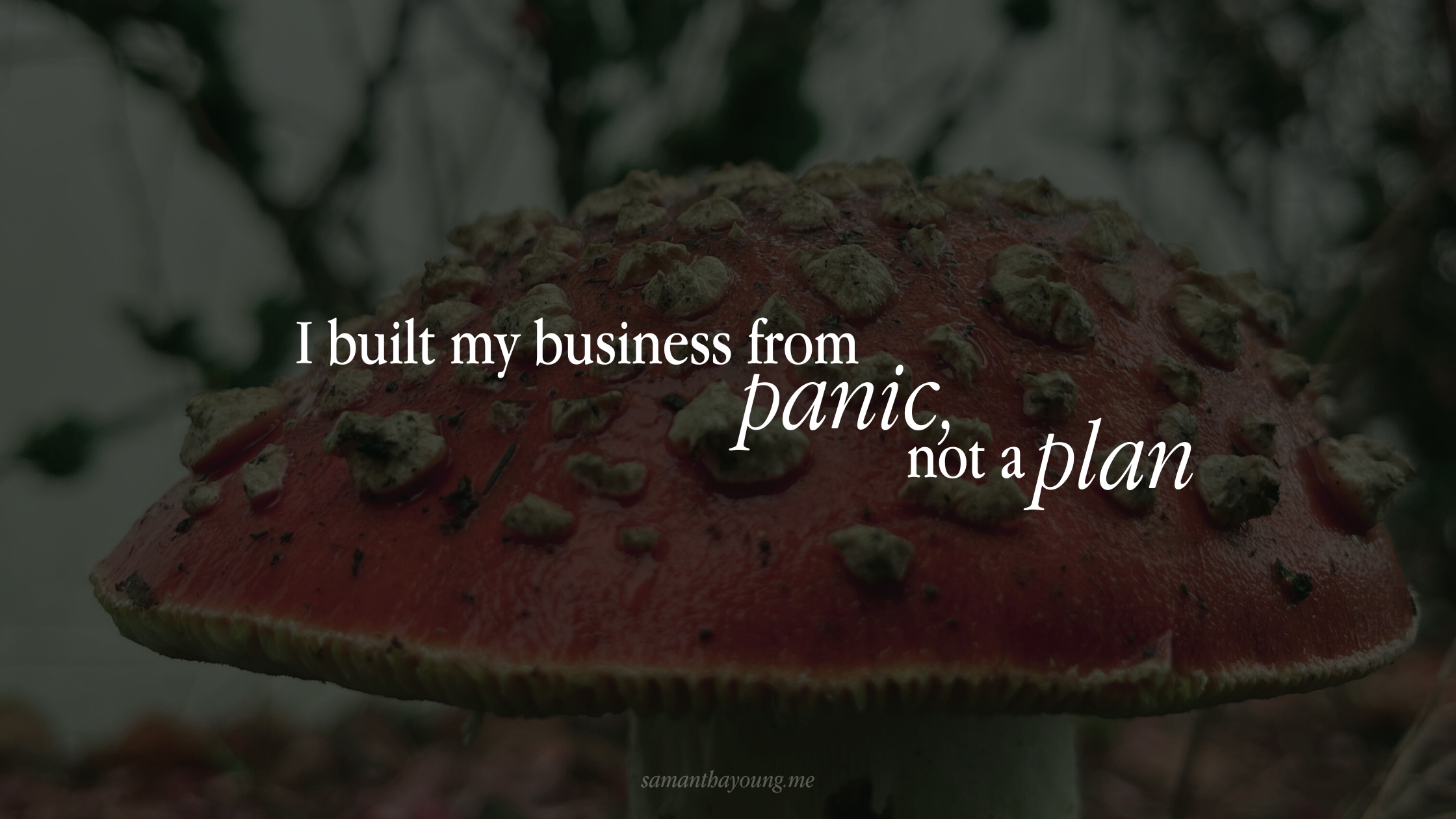 I built my business from panic, not a plan