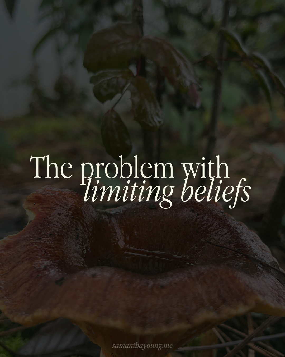 The problem with limiting beliefs