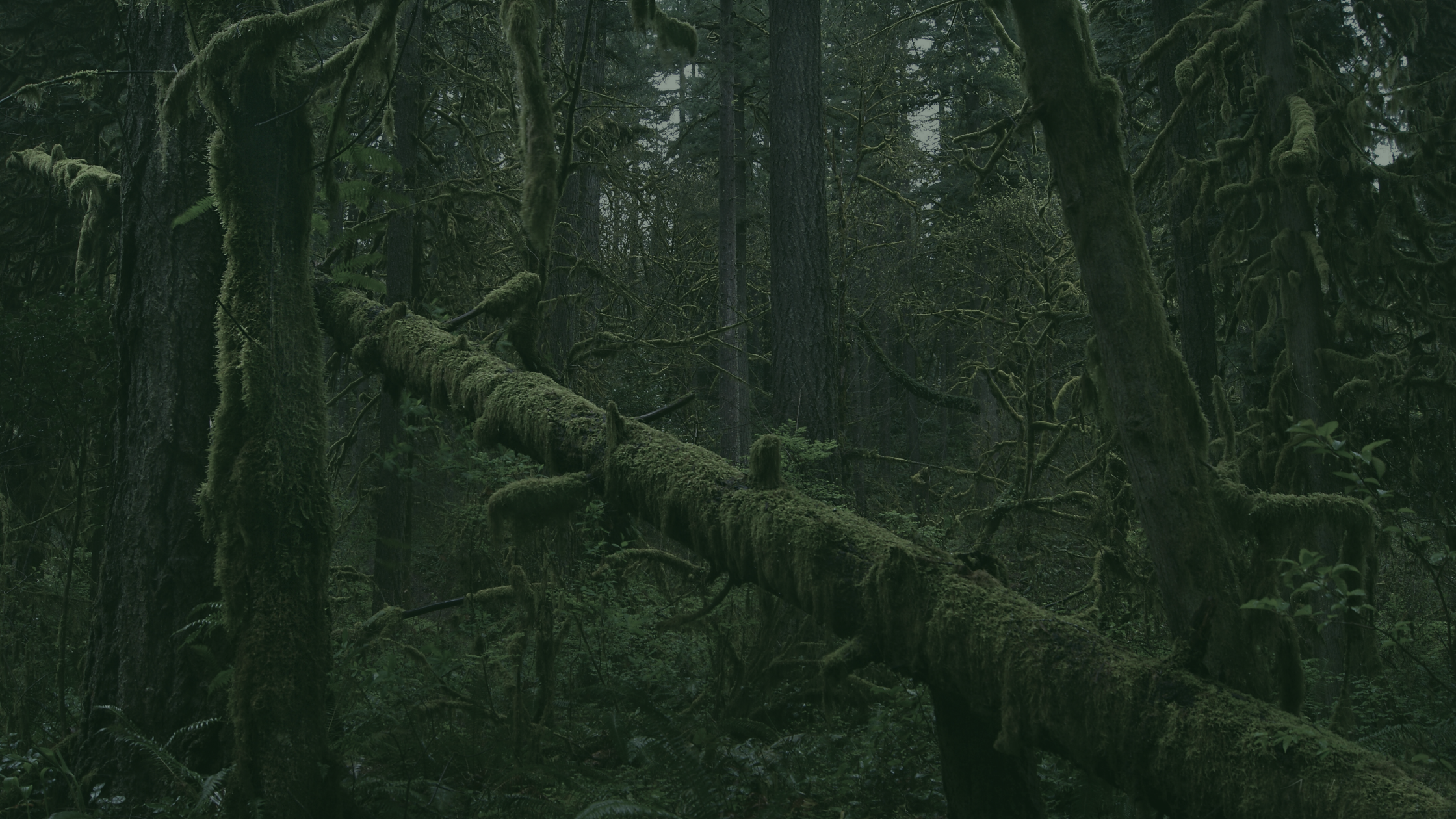 Okay thanks for letting me know