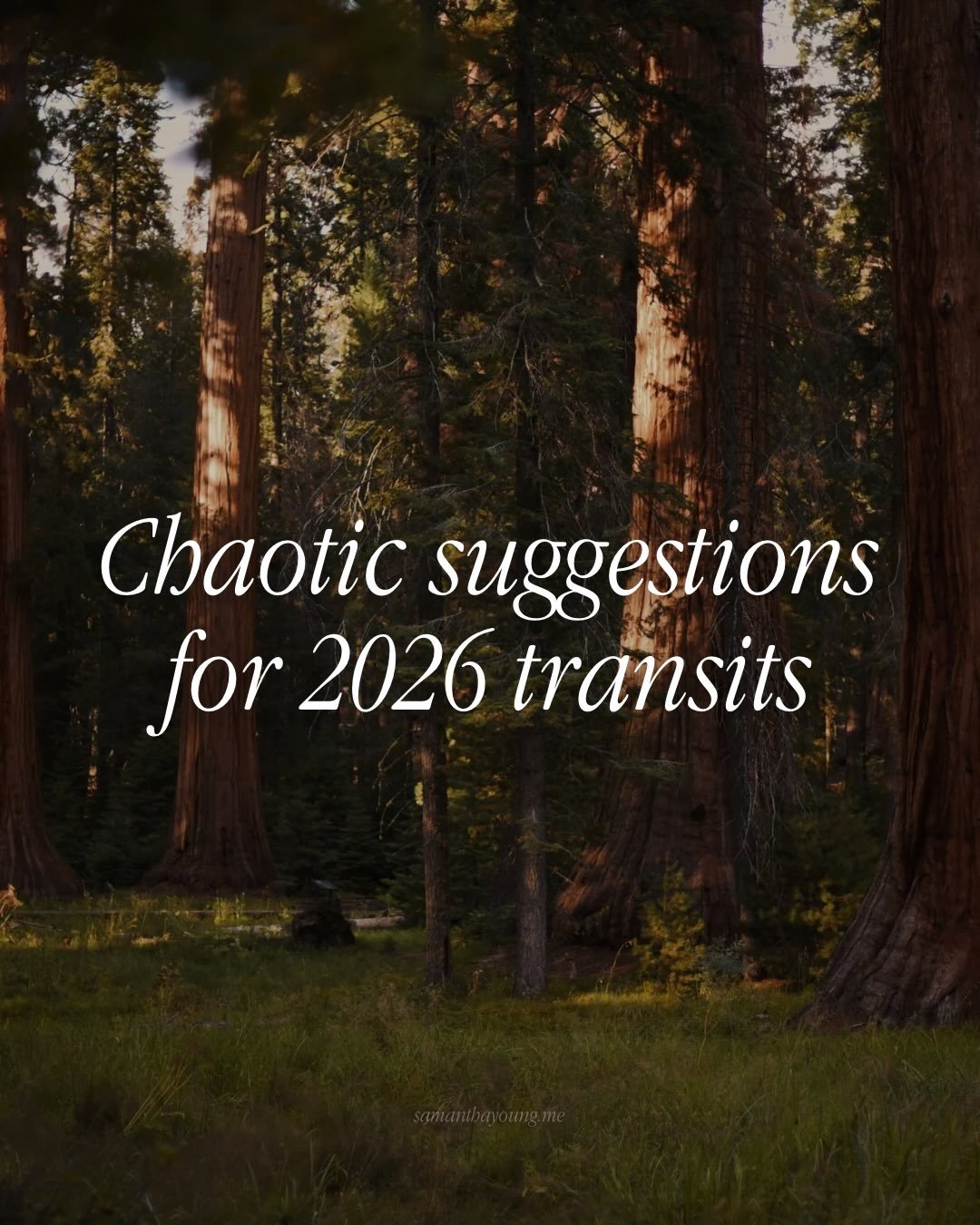 2026 is almost upon us, which means fresh new opportunities to topple power and subvert dominance. If you want to know the best and most chaotic ways YOU can move in 2026, based on your unique astrological transits, my year ahead report is for you. 
