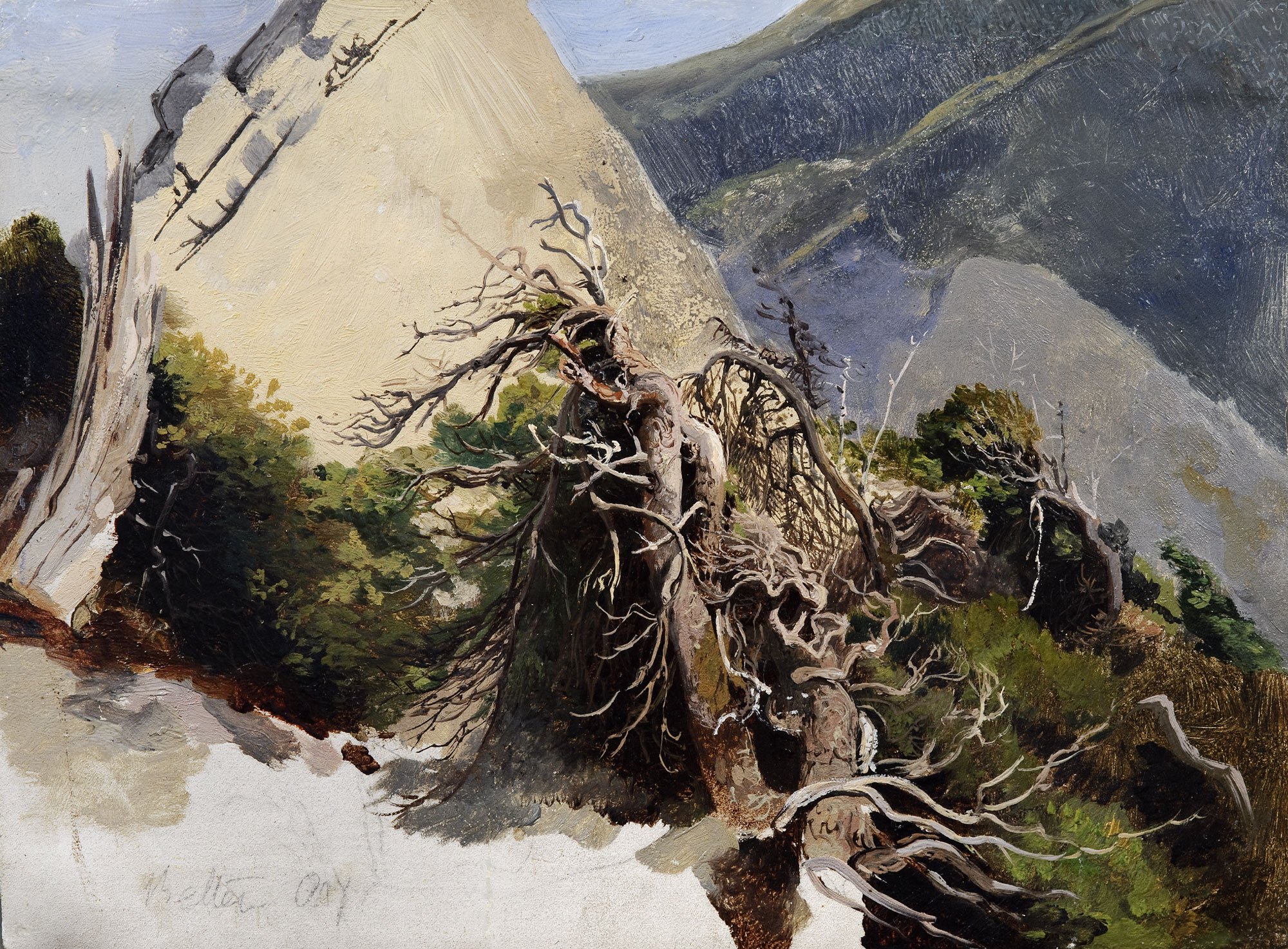 Uprooting: notes on relocation