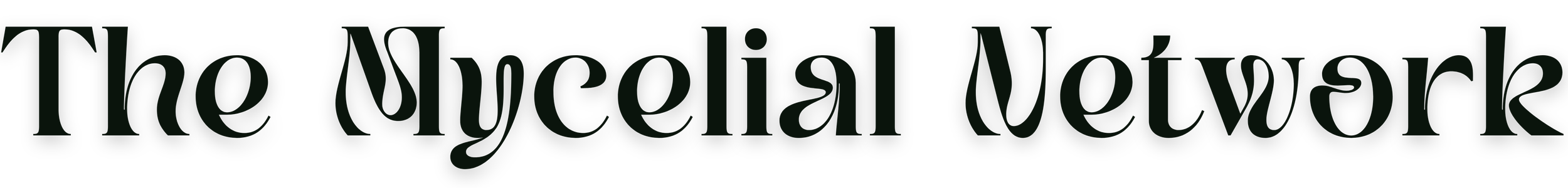 The Mycelial Network