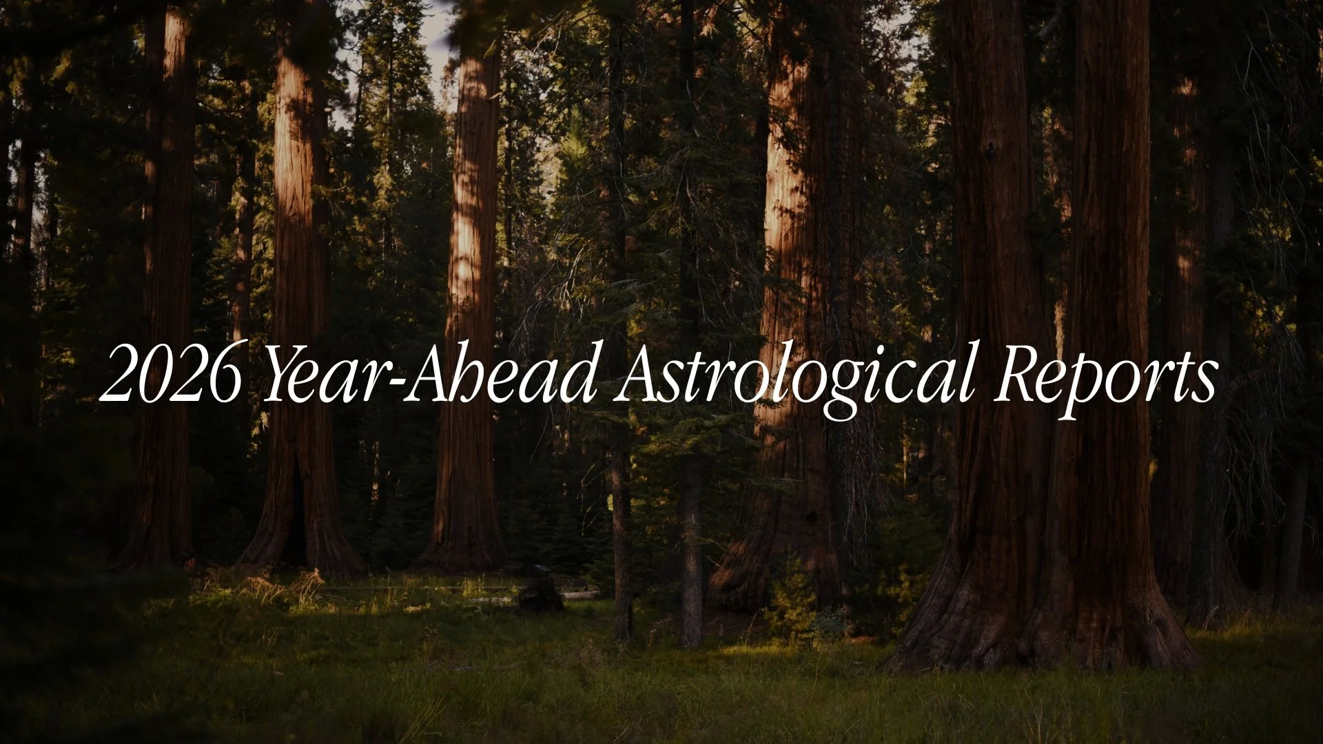 2026 Year-Ahead Astrological Reports