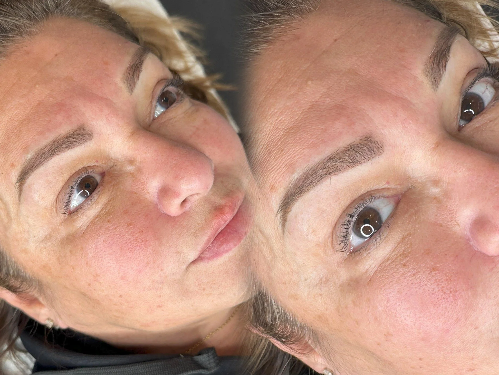 Annual Color Boost time!
A little refresh for naturally beautiful Powder Brows. ✨

#niubrows #syossetbrows #powderbrows #permanentmakeup