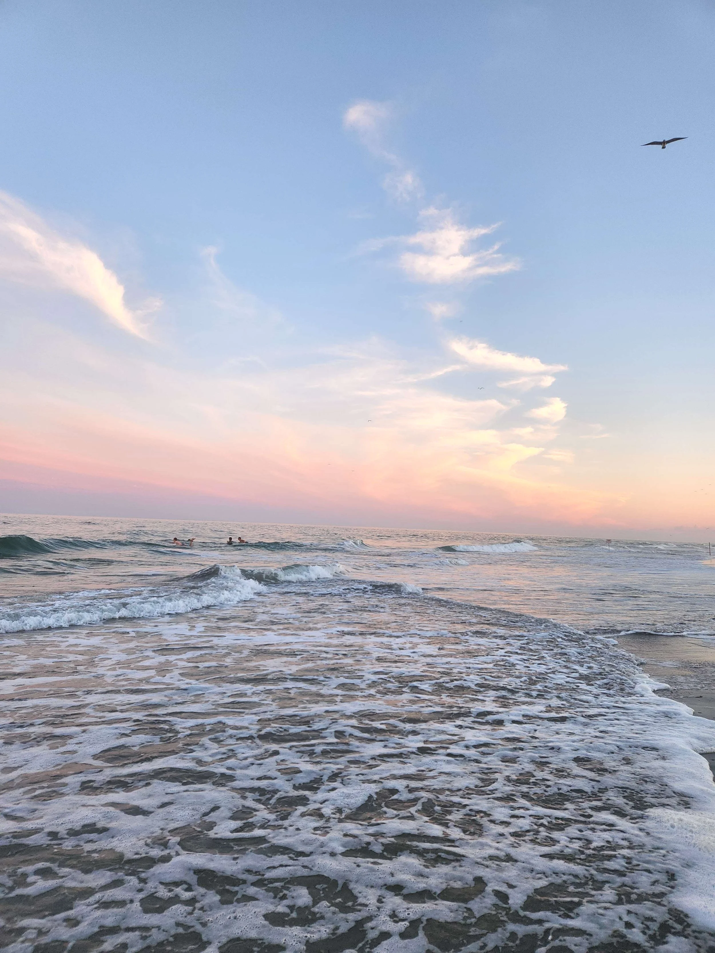 Hello and Goodbye to Summer