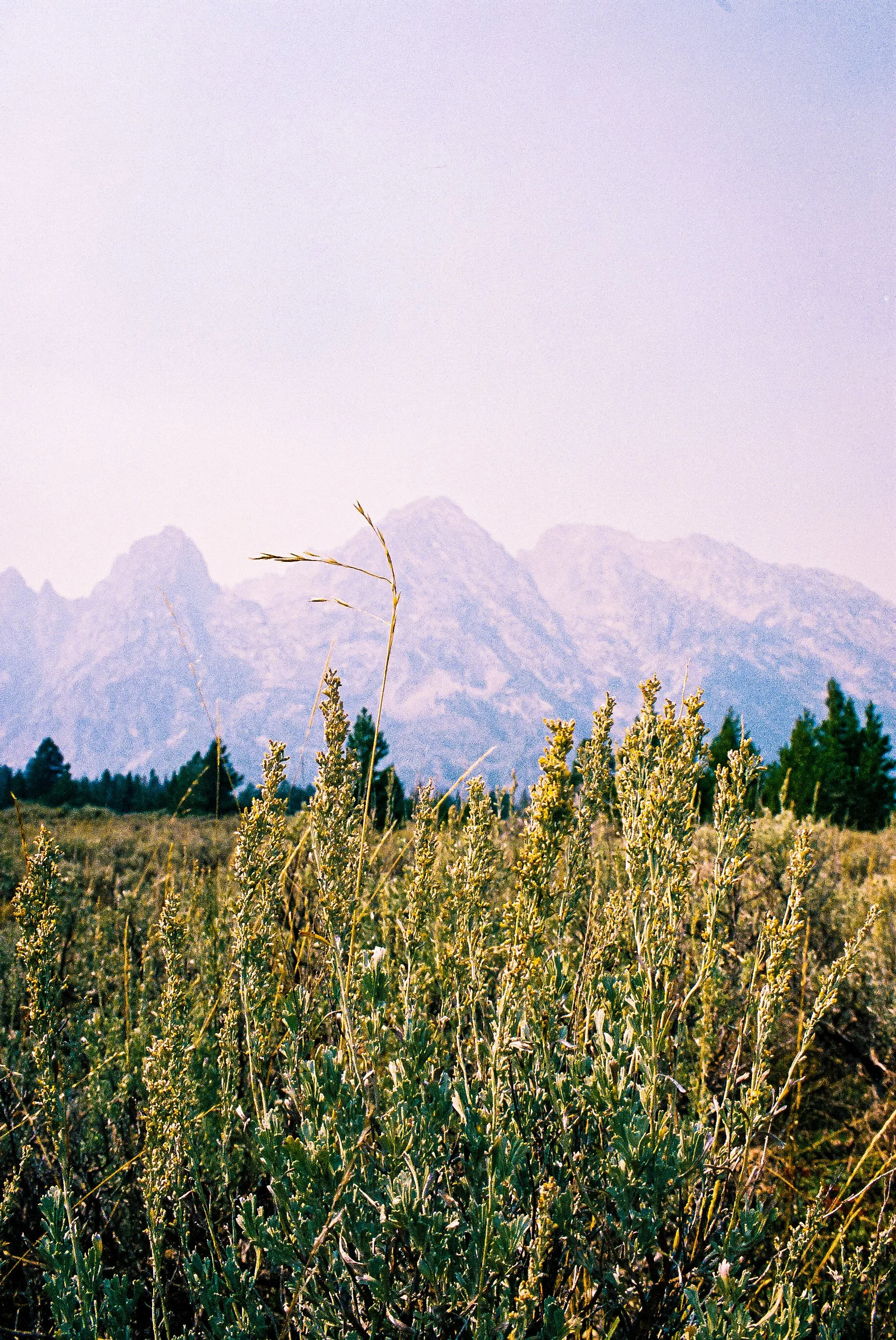 0881_image_36.jpg