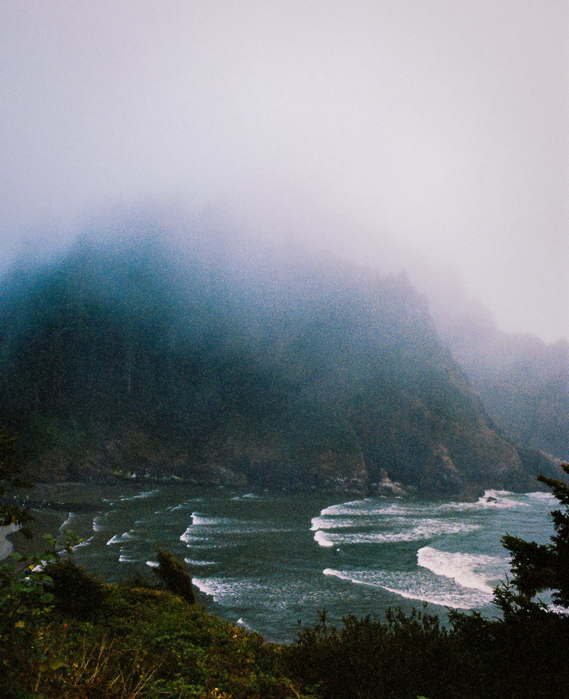 0881_image_08.jpg