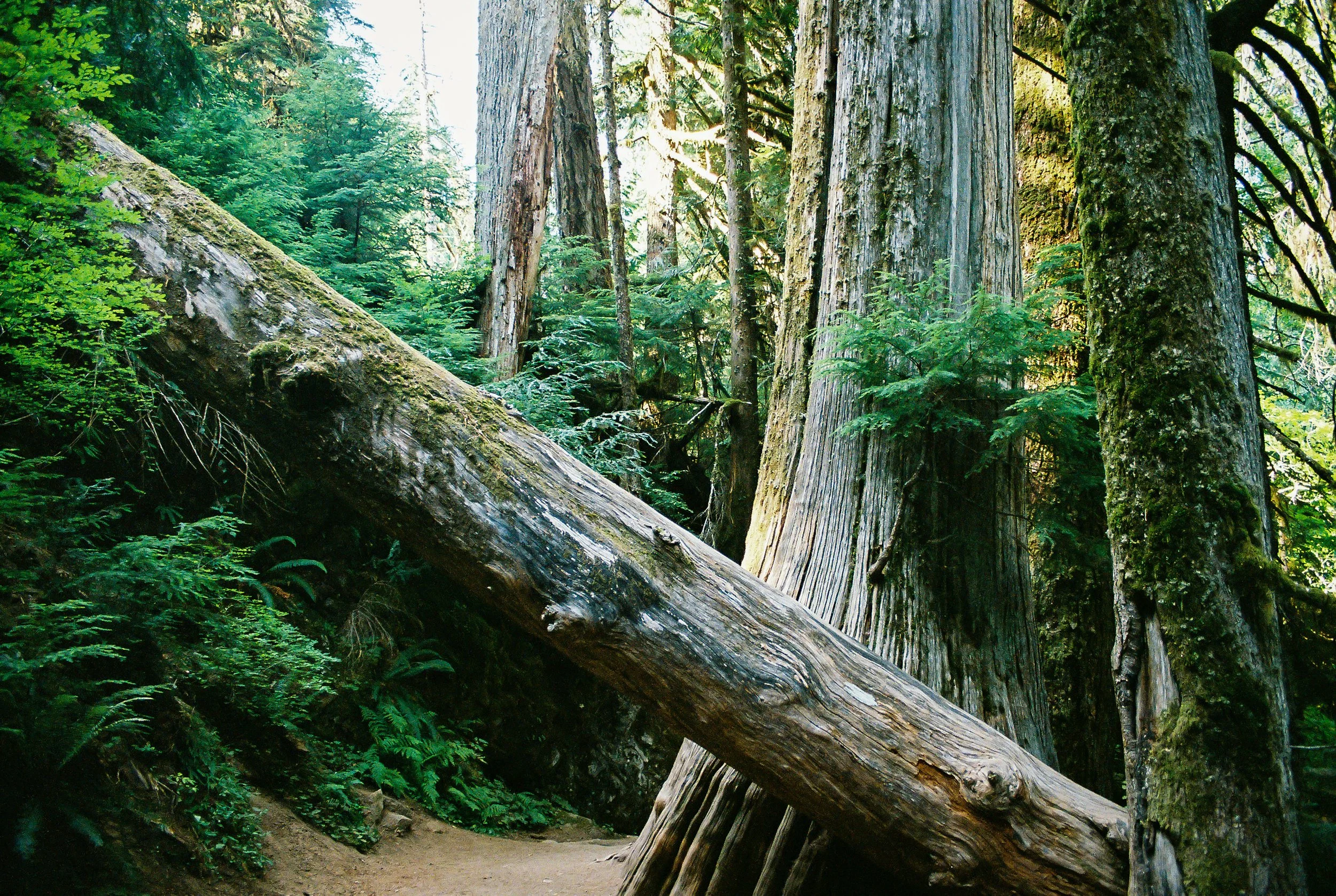 0544_Image_06.jpg