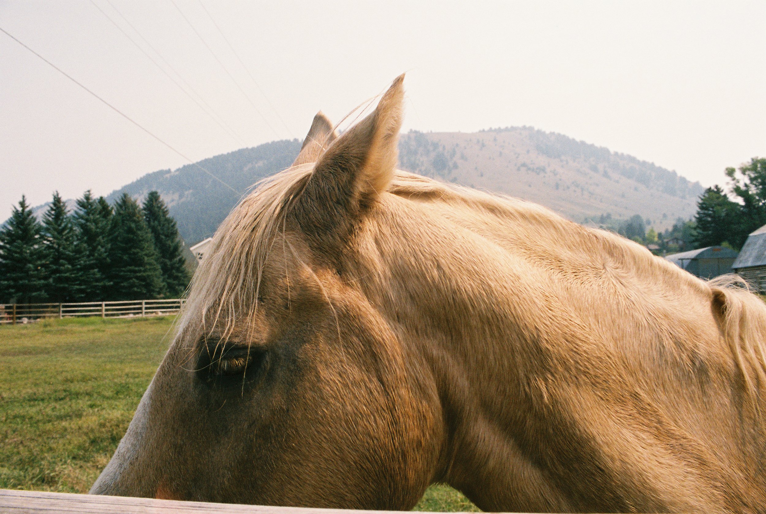 0886_image_04.JPG