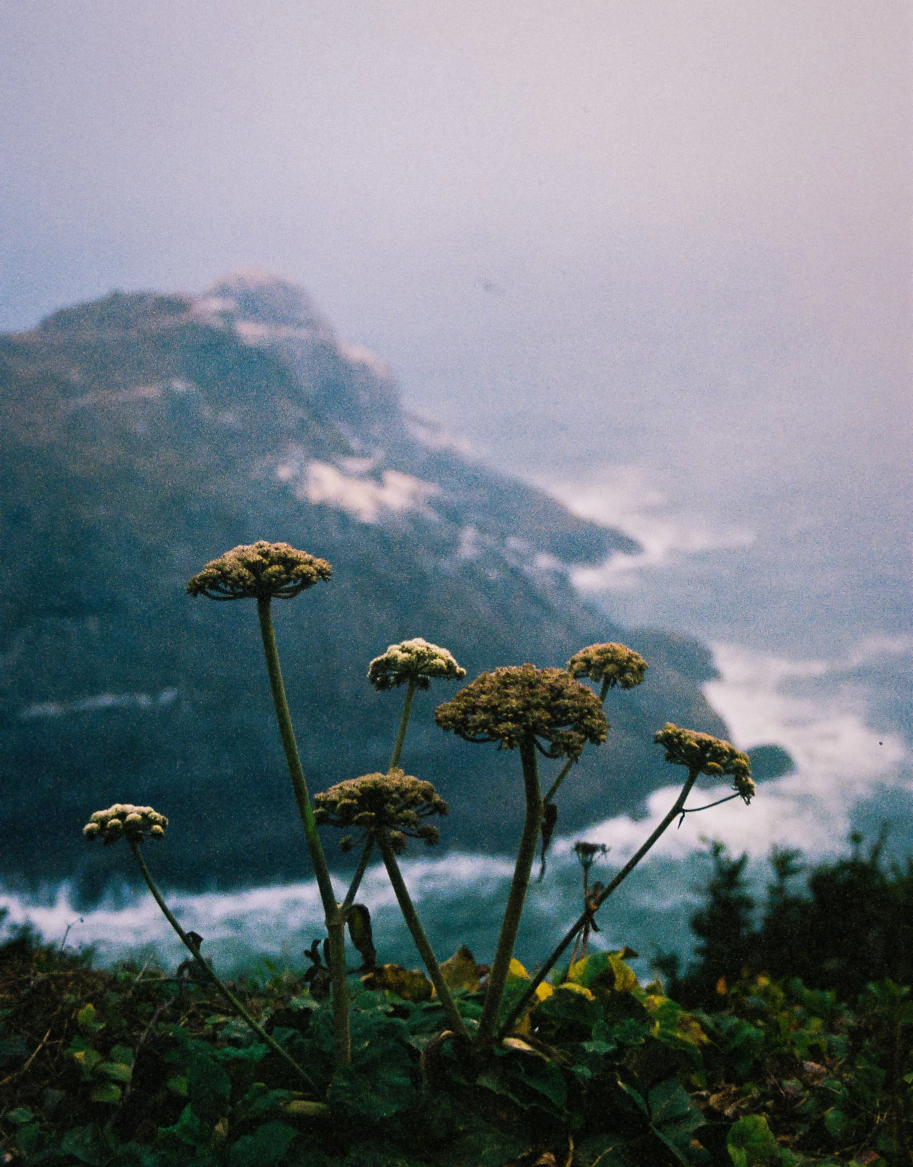 0881_image_04.jpg