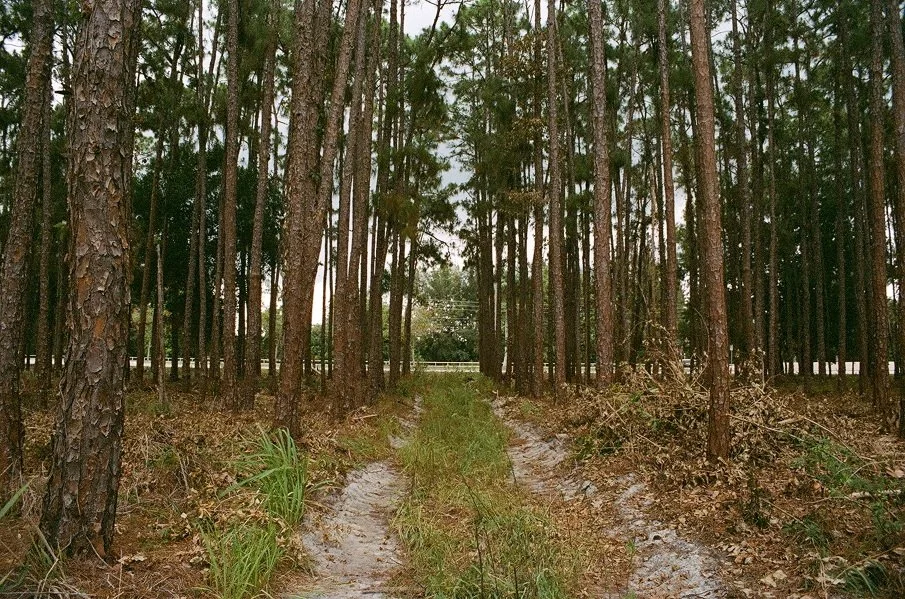 42100007_905.jpg