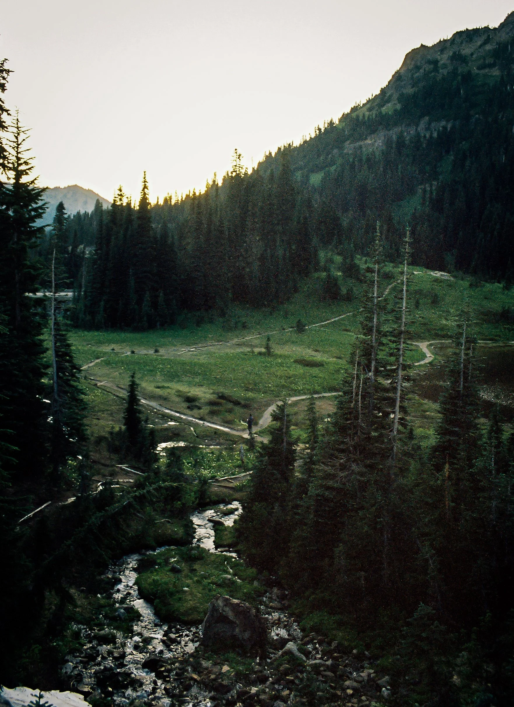 0461_Image_14.jpg