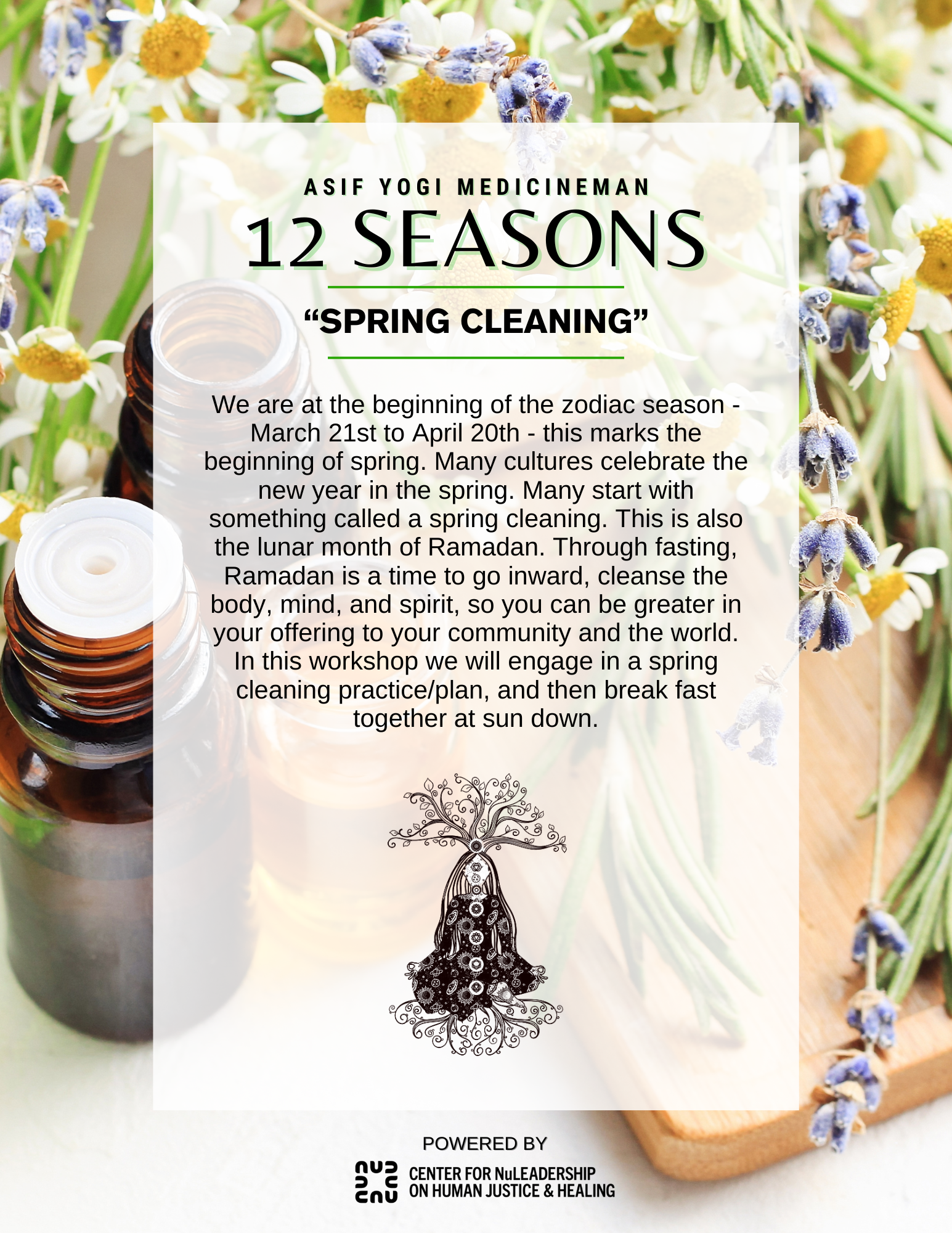 12 SEASONS, Spring Cleaning Flyer MockUp (1).png