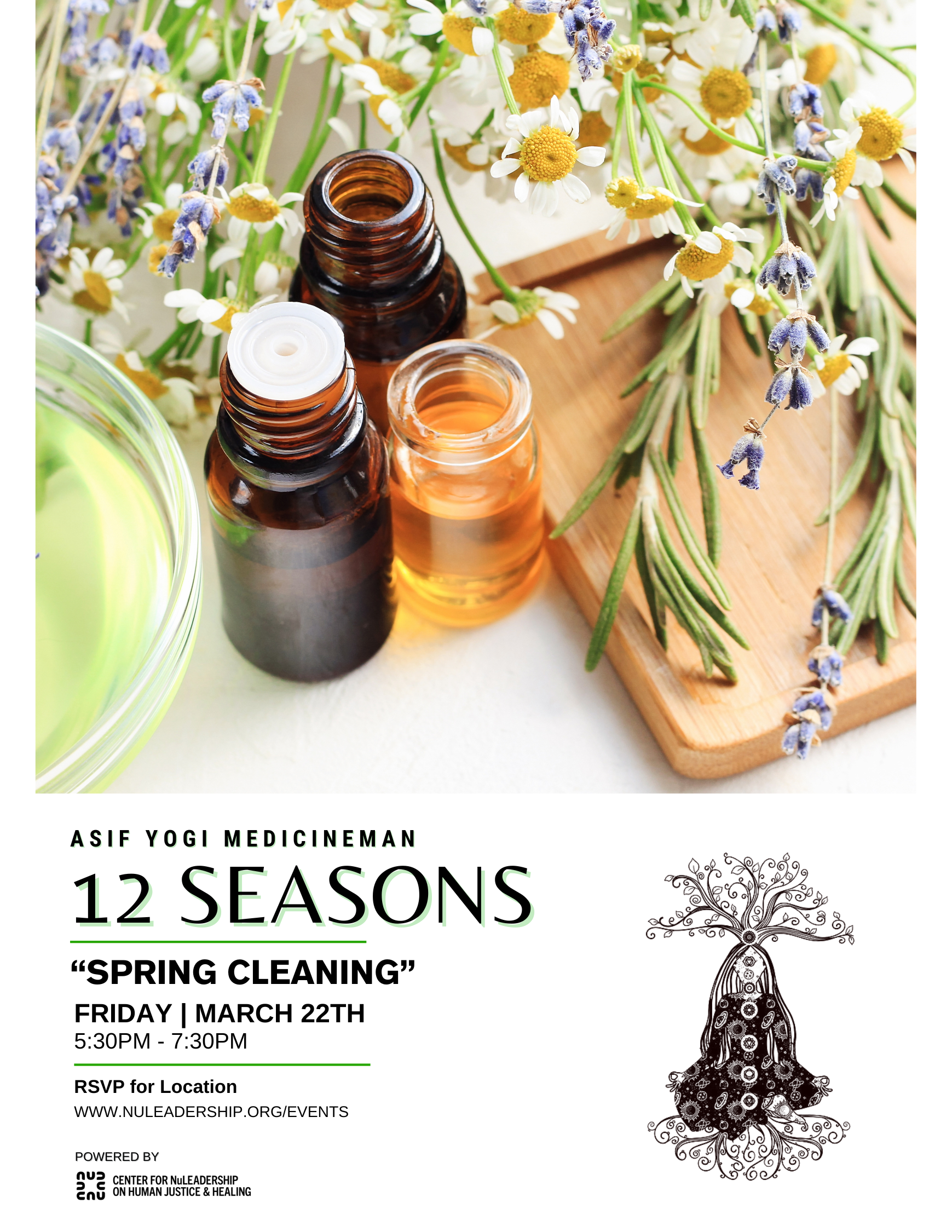 12 SEASONS, Spring Cleaning Flyer MockUp_3.22.24.png