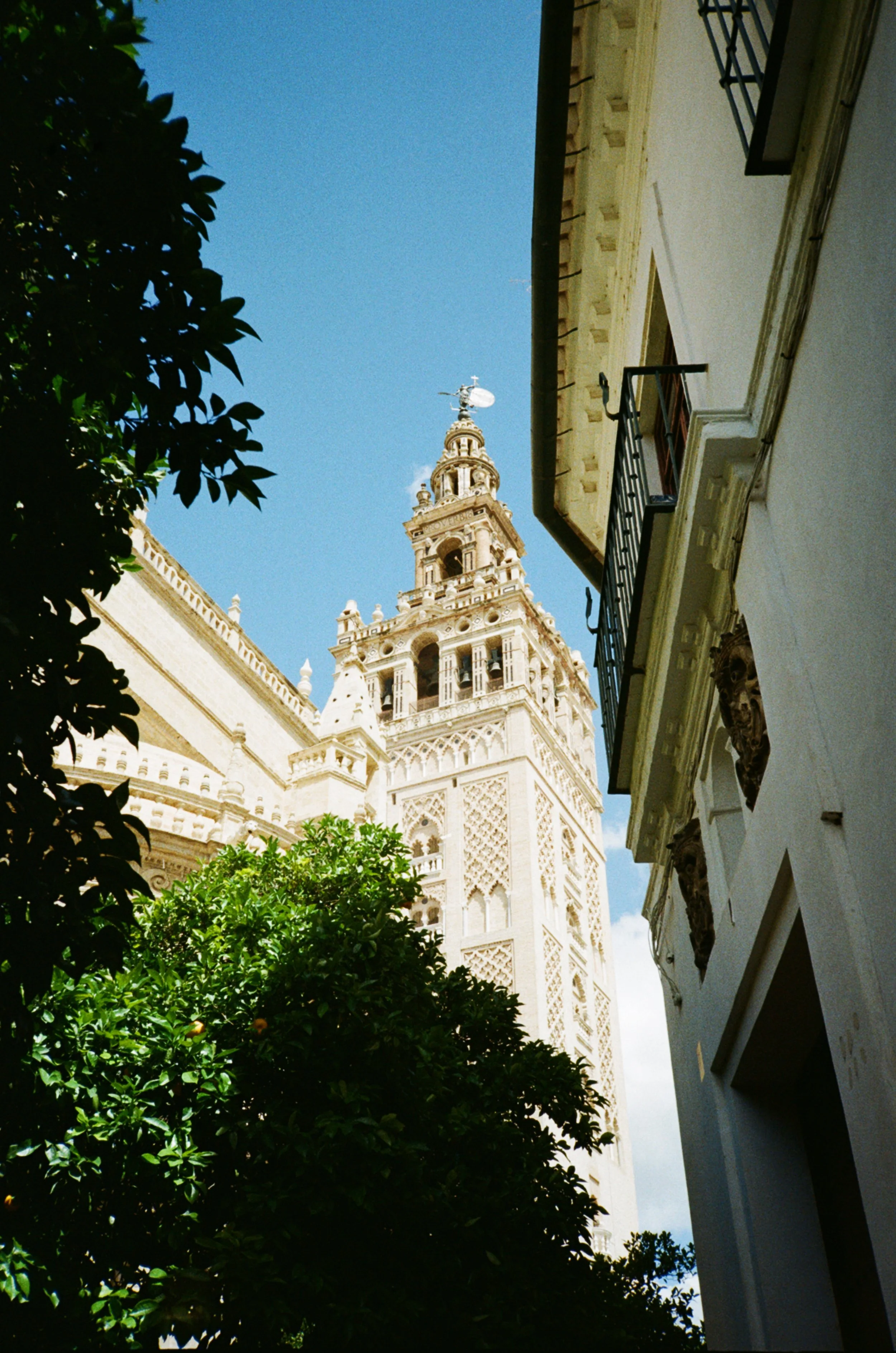 IMG_1235.jpeg