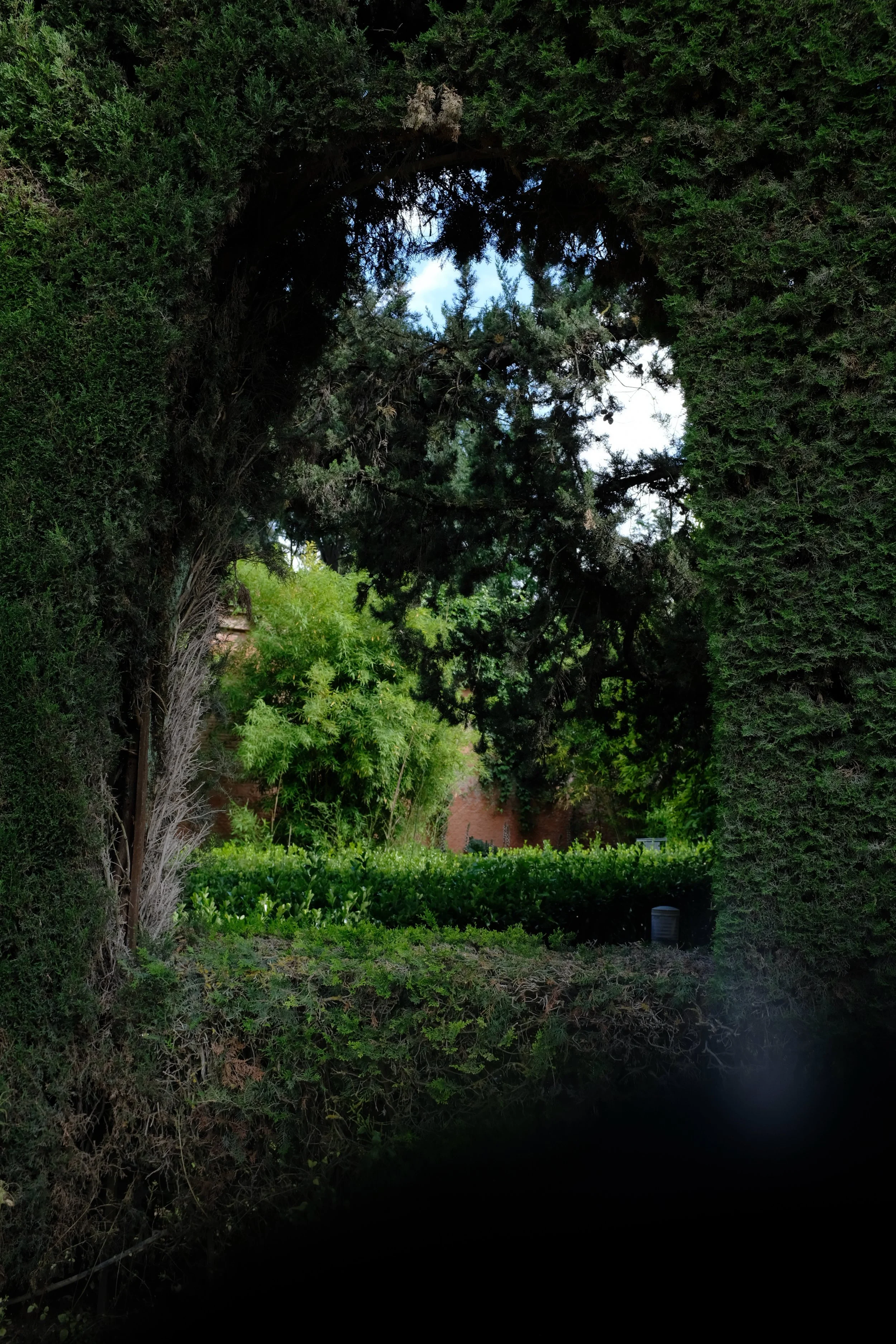 IMG_1116.jpeg