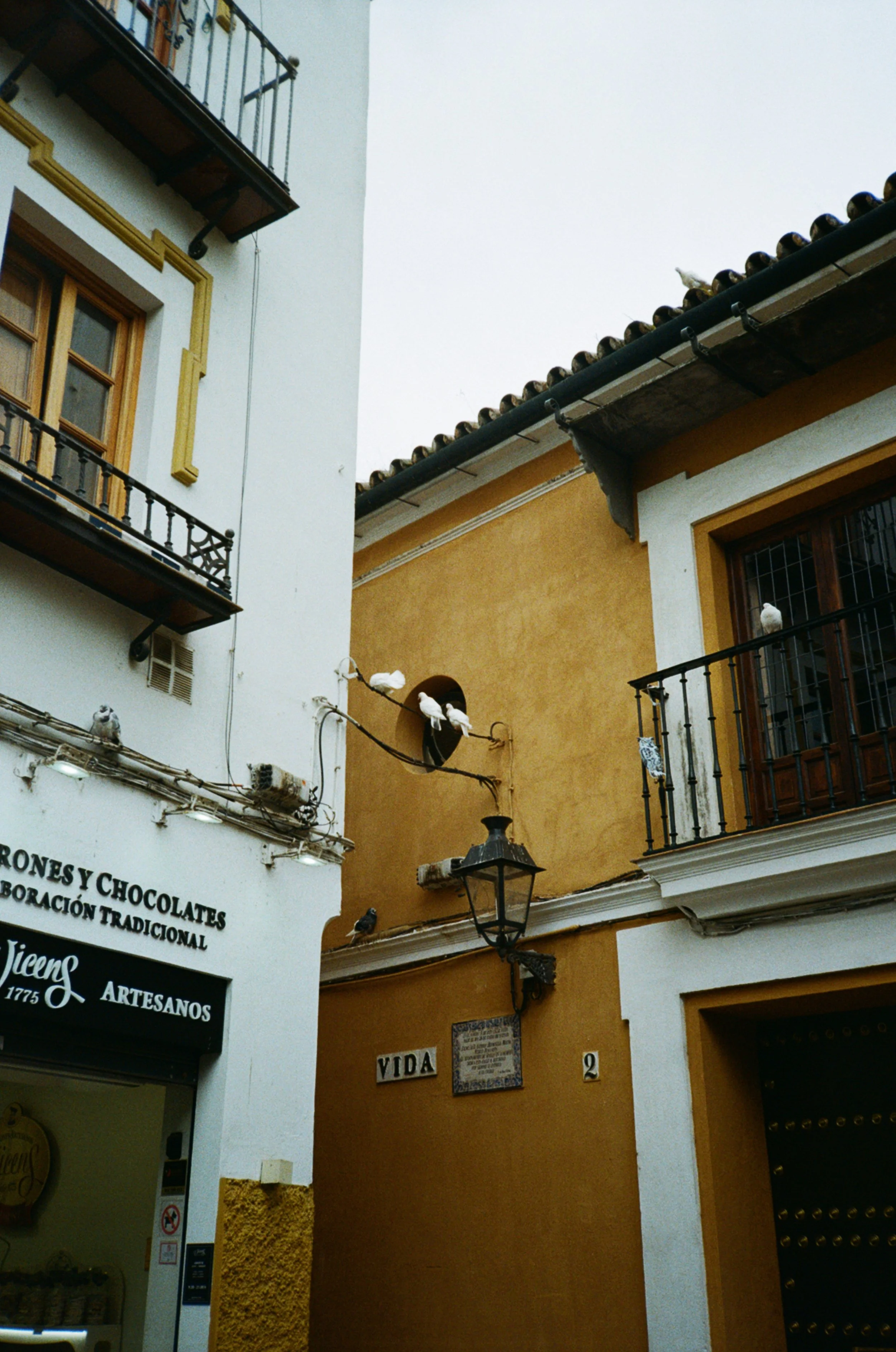 IMG_1241.jpeg