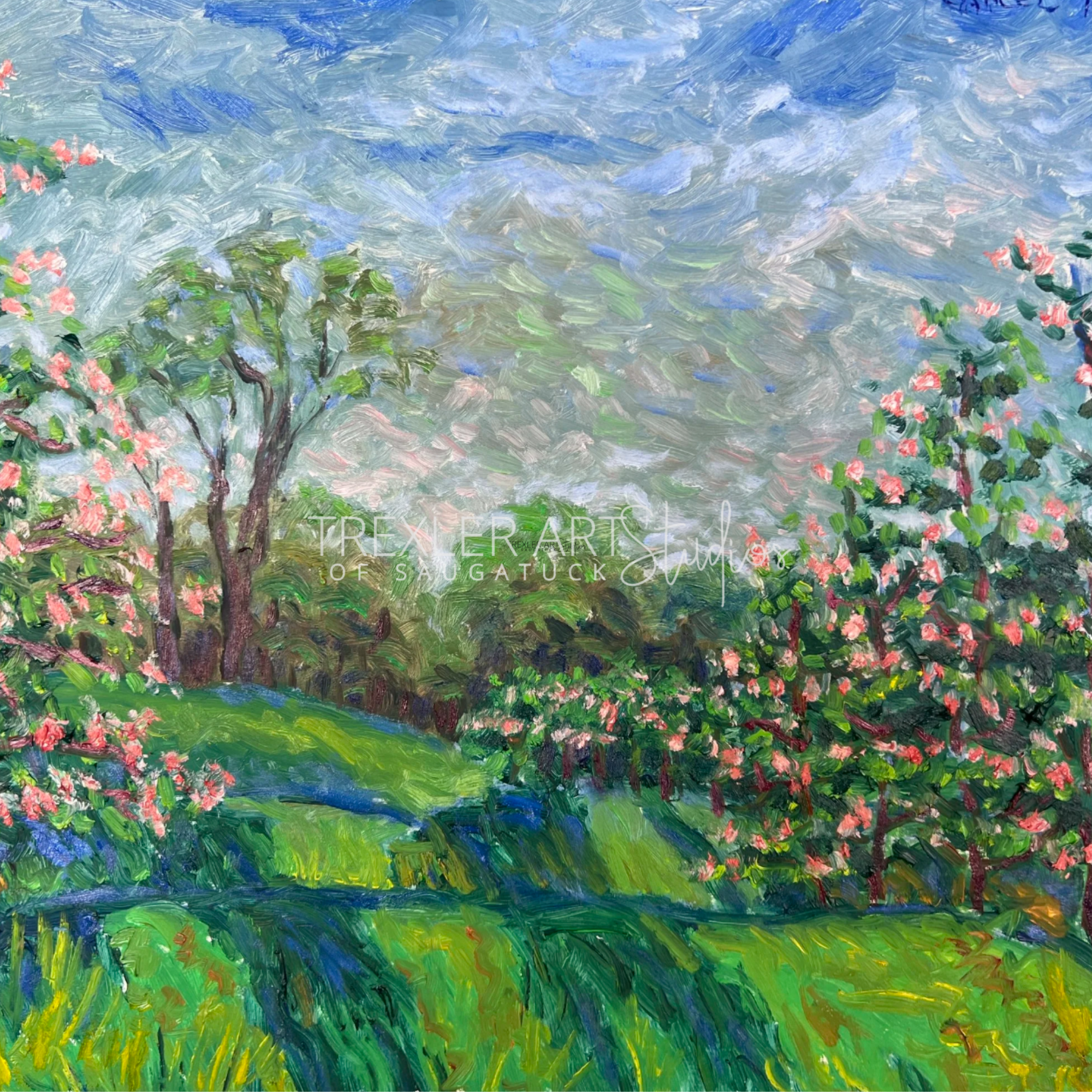 First Blossoms at Belle Vista Farm (SOLD)