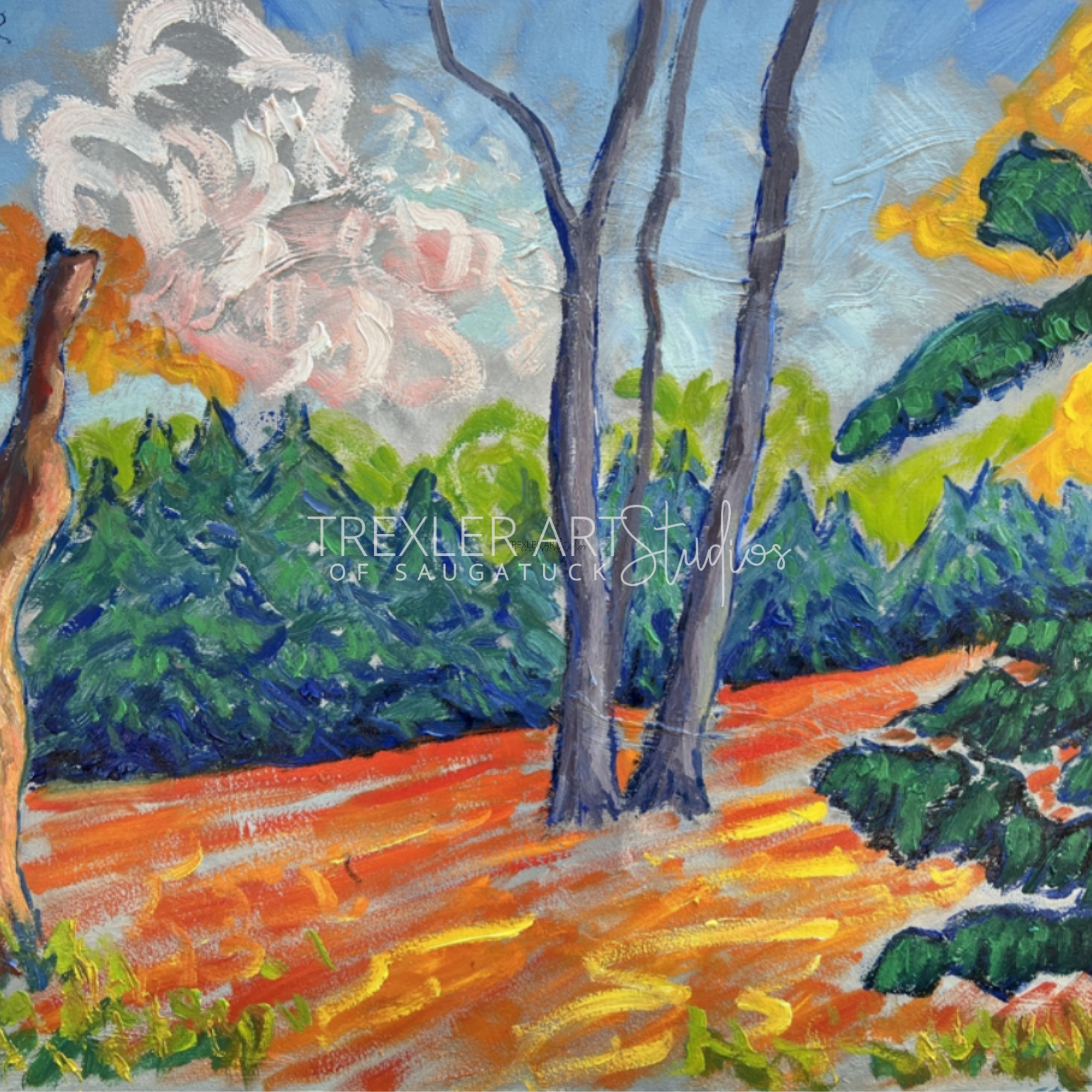 Where the Light Lingers on Ravine Trails #2