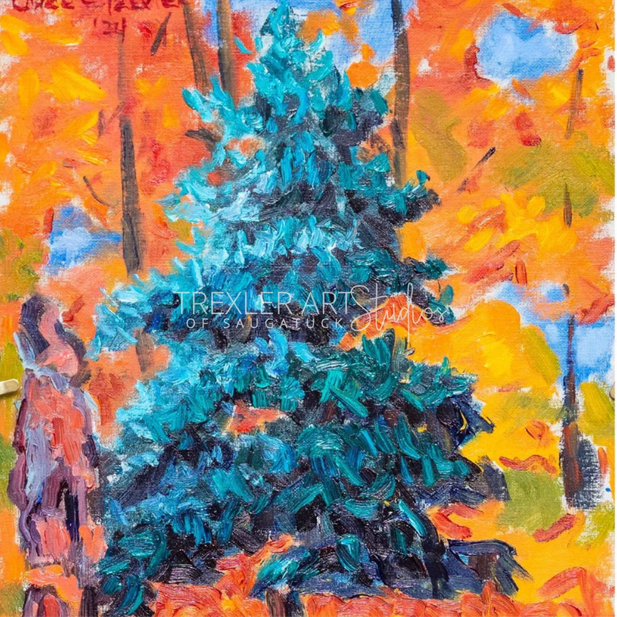 Proud Trees in Pier Cove (SOLD)
