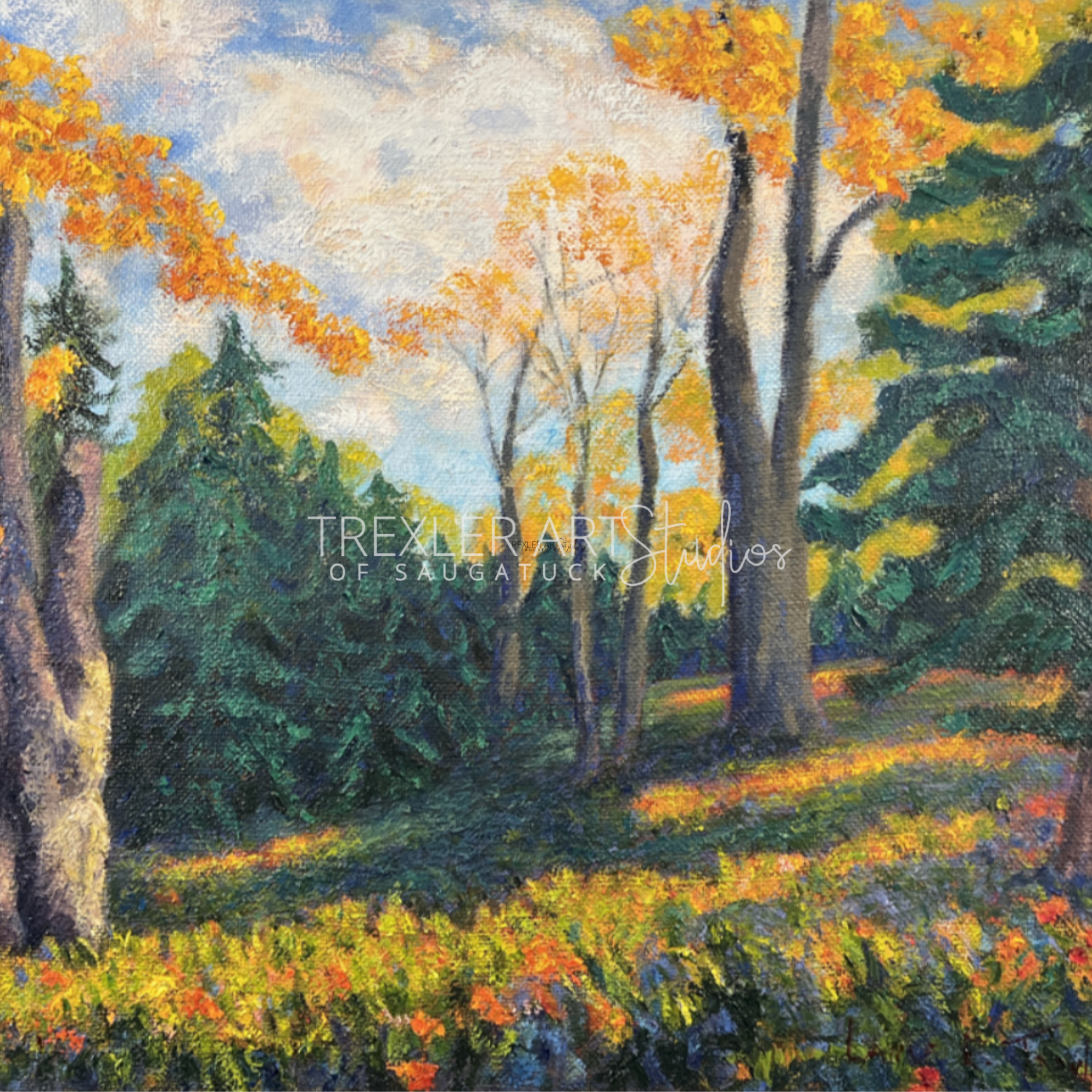 Where the Light Lingers on Ravine Trail - 1