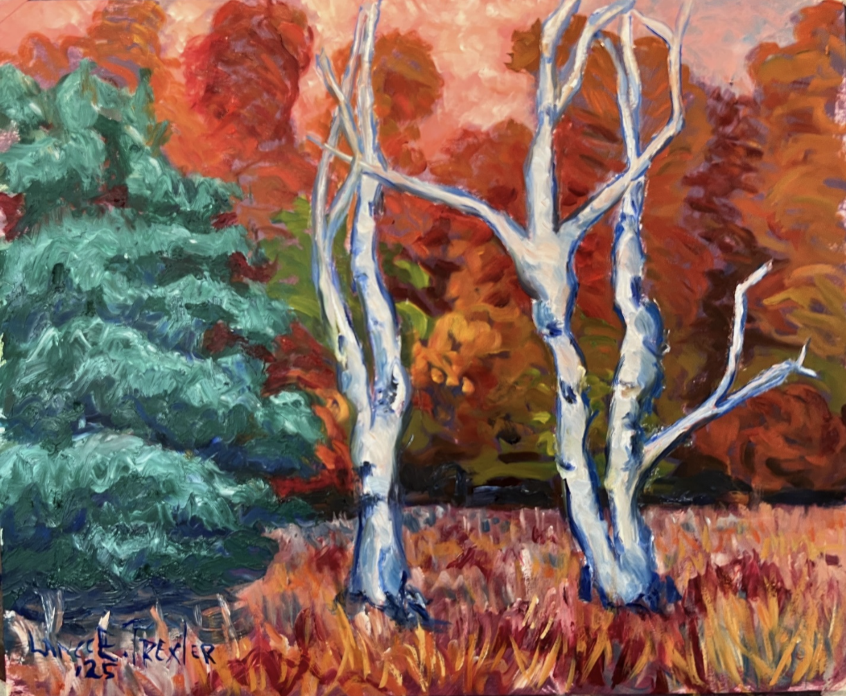 Dancing Birches at Wau-Ke-Na