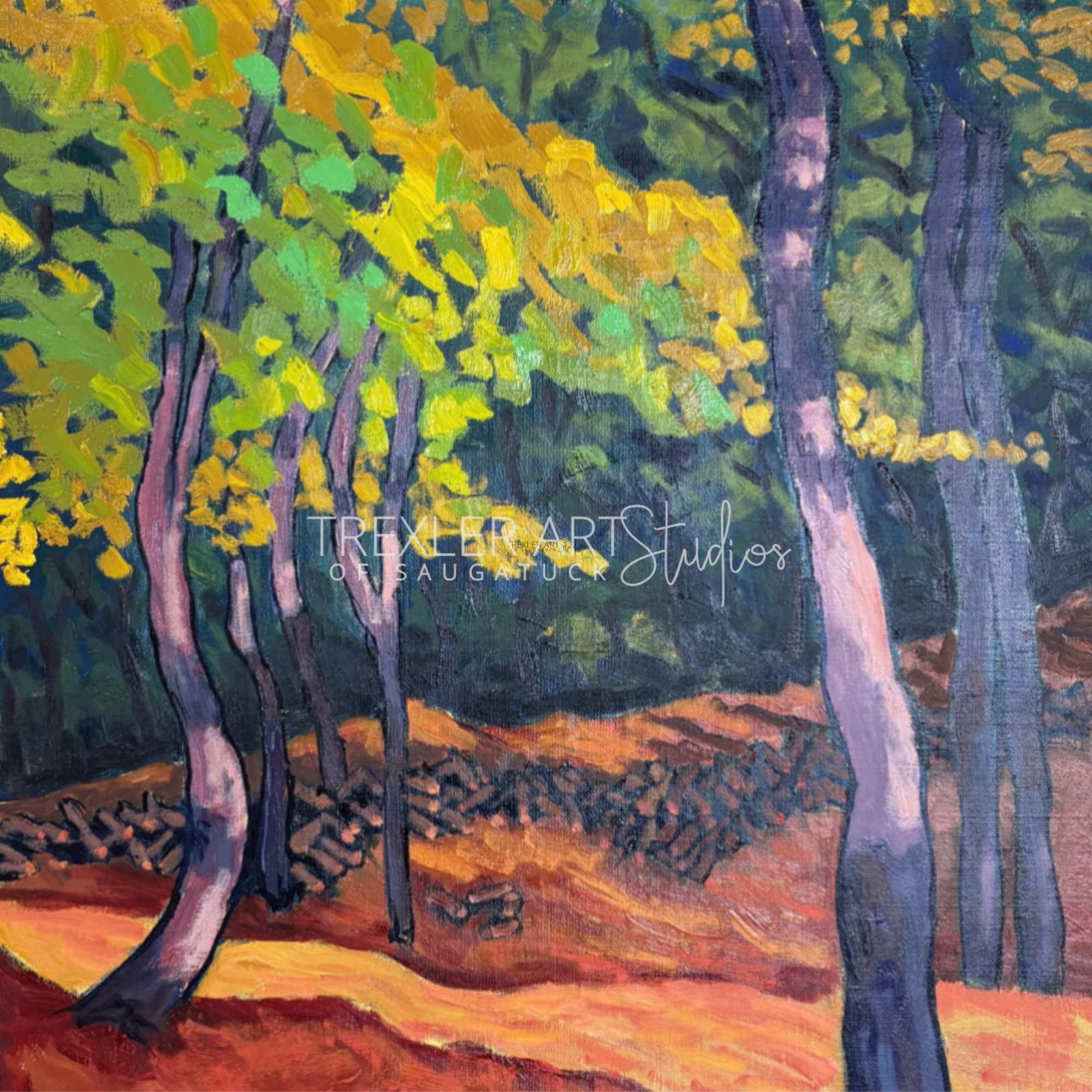 Morning October Light, Pier Cove Ravine