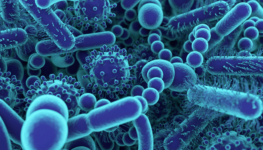 11 Ways to Show Your Gut Bugs You Care