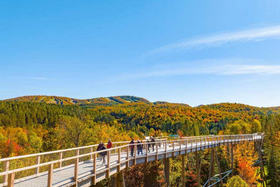 Sentier des cimes 4.png