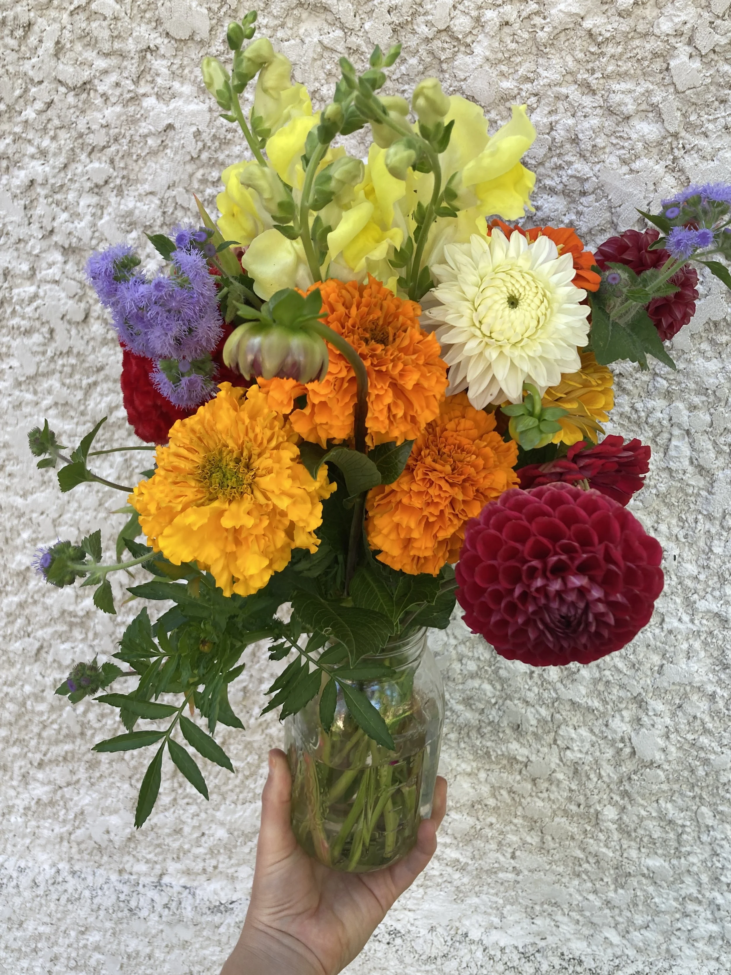 Summer Flower Share