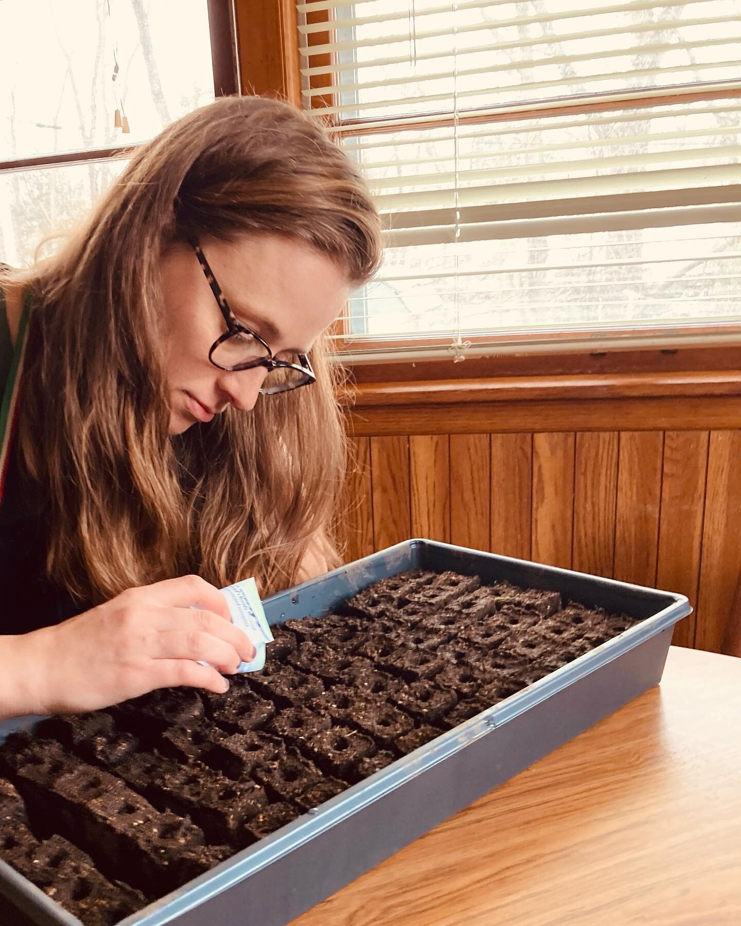 Seed sowing Sunday today. What are you tackling today?
#seedsowing #slowdowntime #calmandquiet #growyourownflowers #sowseeds #grownnotflown #zone4b #flowercsa #flowersubscription