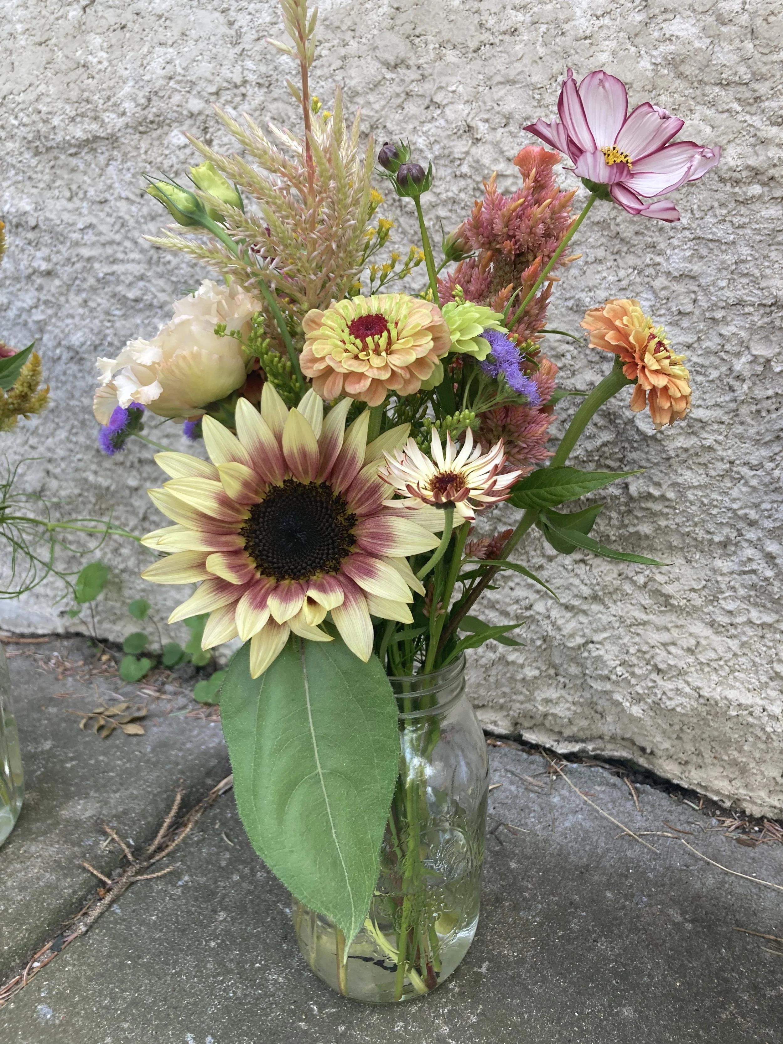 Summer Flower Share (Half)