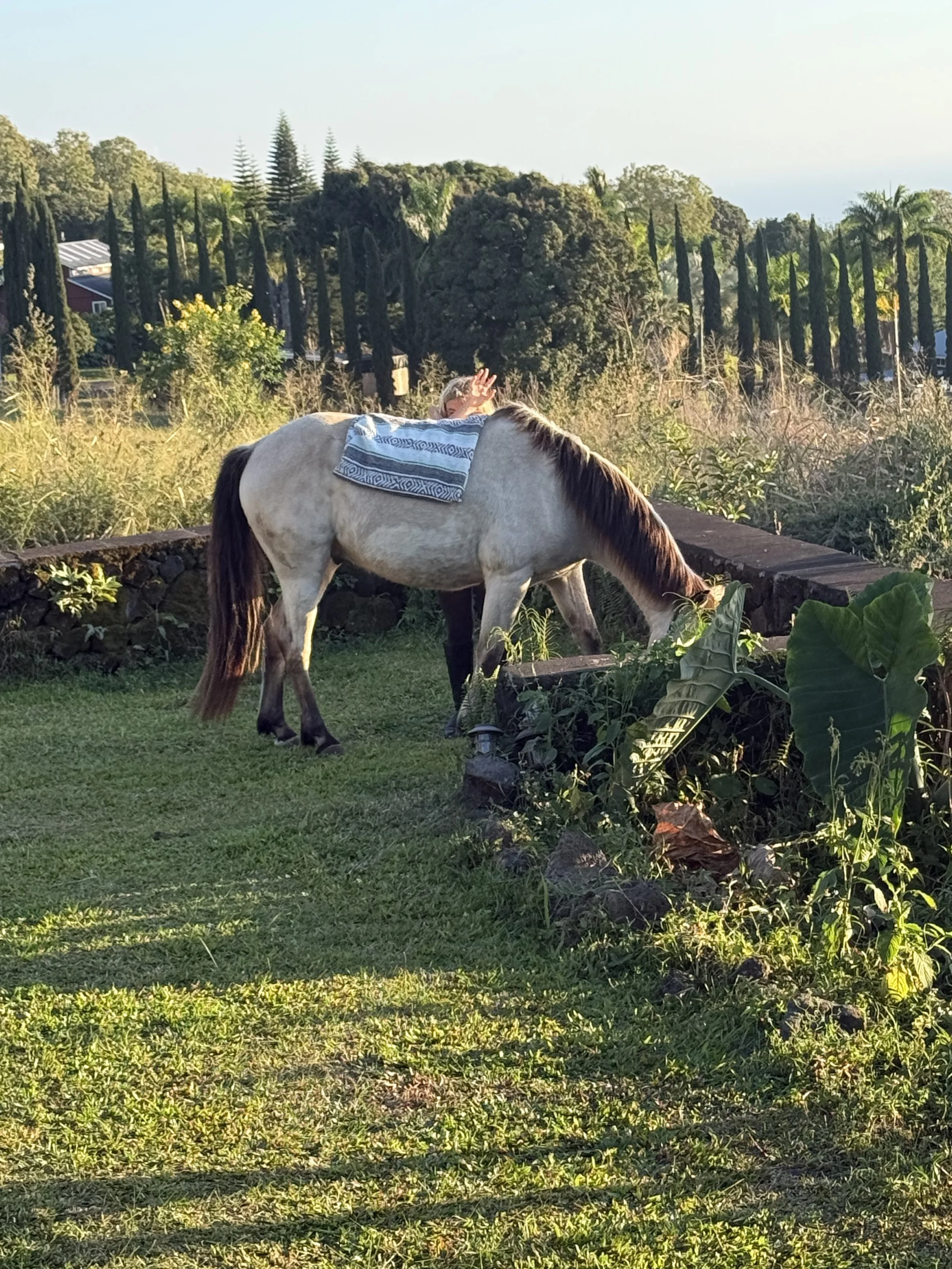 IMG_3442.jpeg