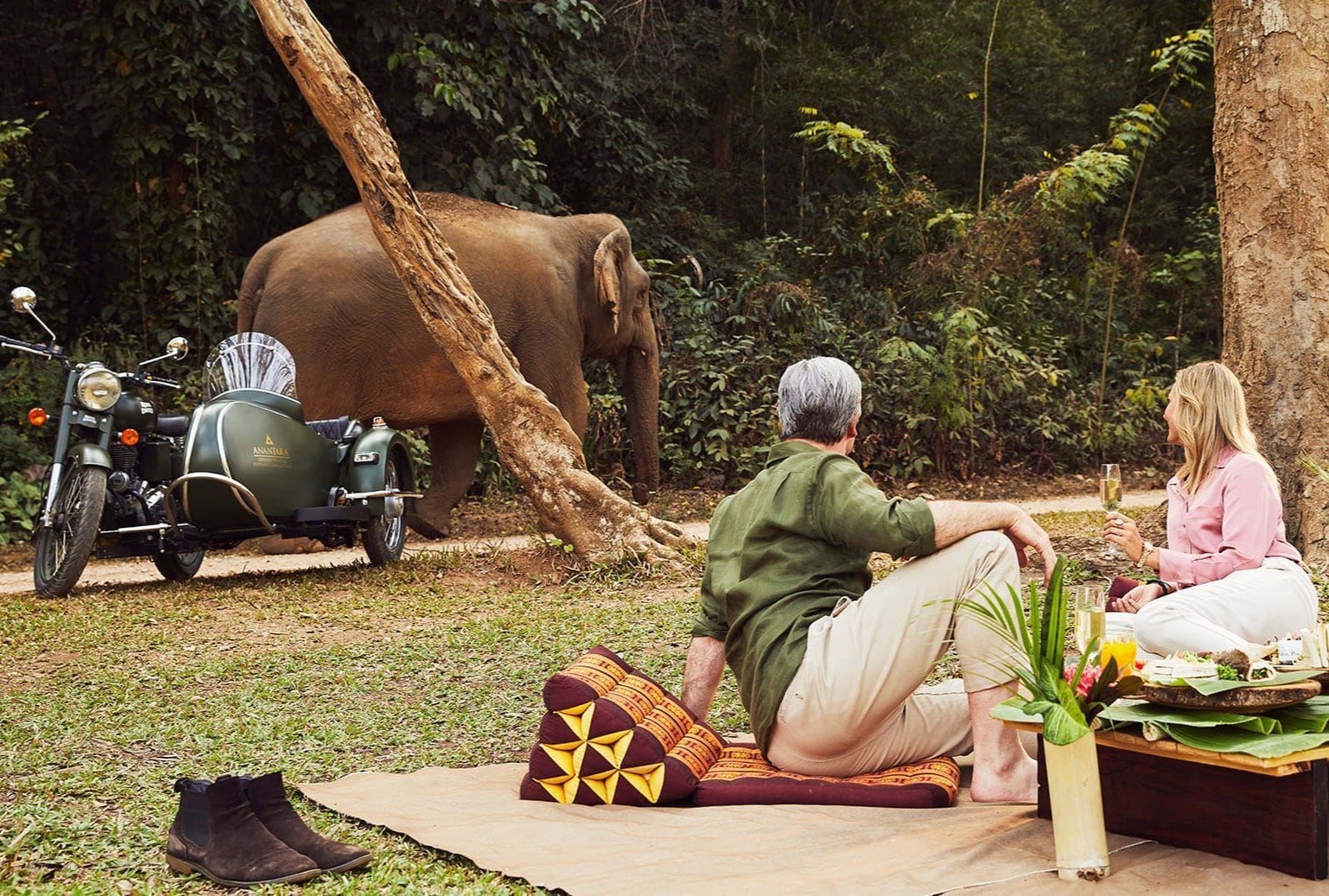 anantaragoldentriangleelephantcampandresortexteriorviewcouplehavingapicnicwithsidecarsandelephantsin%2Bcopy.jpg