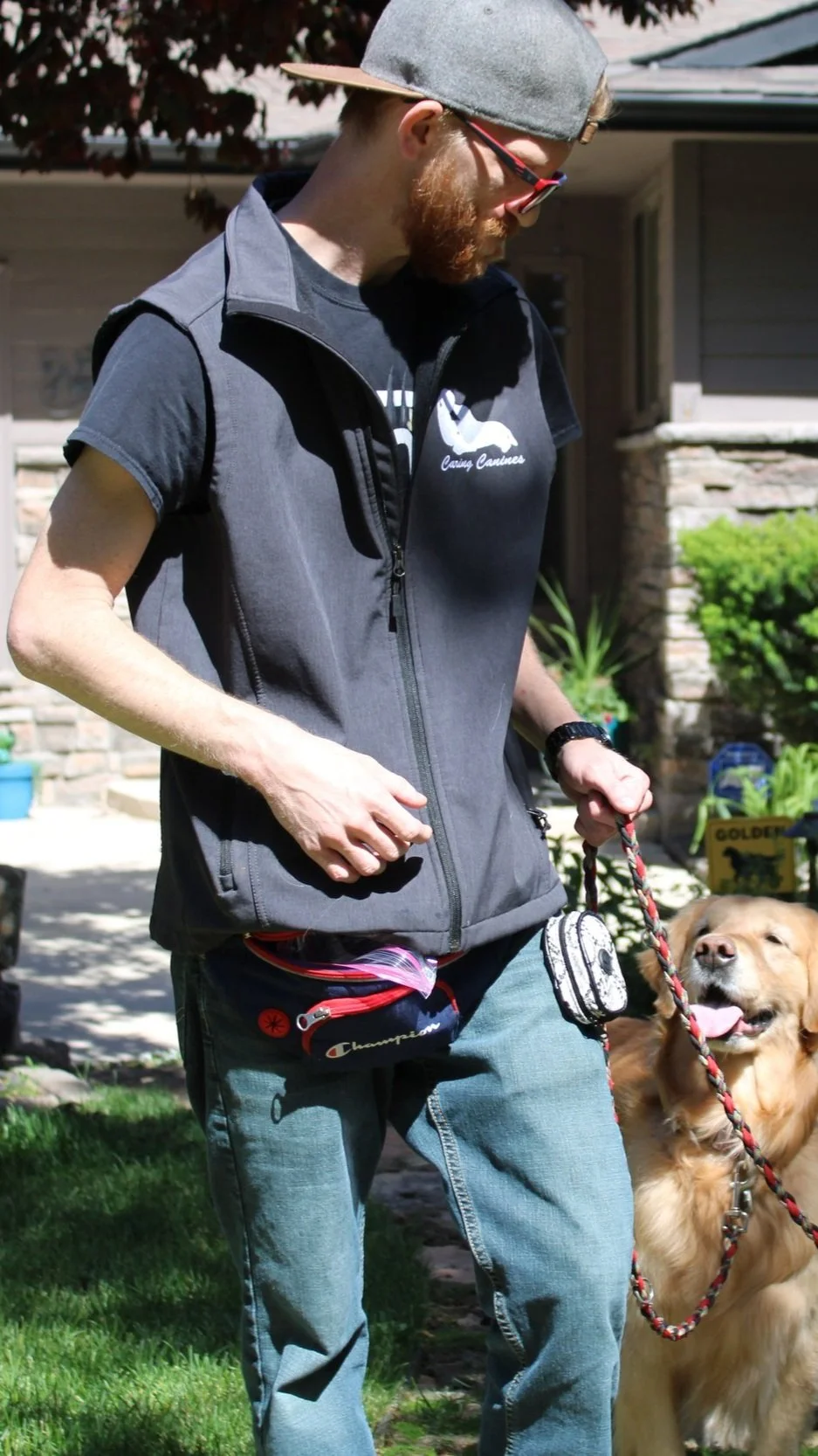 Meet the Team Leaders One of the Pack Dog Training Fort Collins