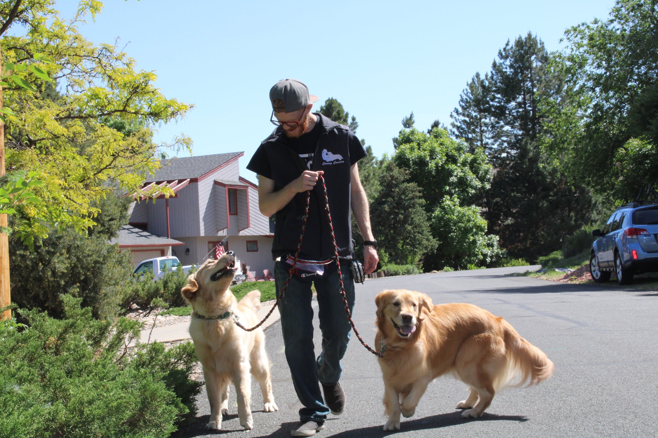 Our Team One of the Pack Dog Training Fort Collins, Colorado