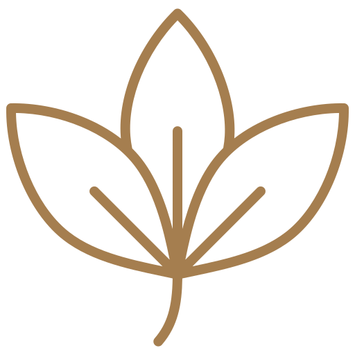 Simple brown outline of a three-leaf plant or leaf design.