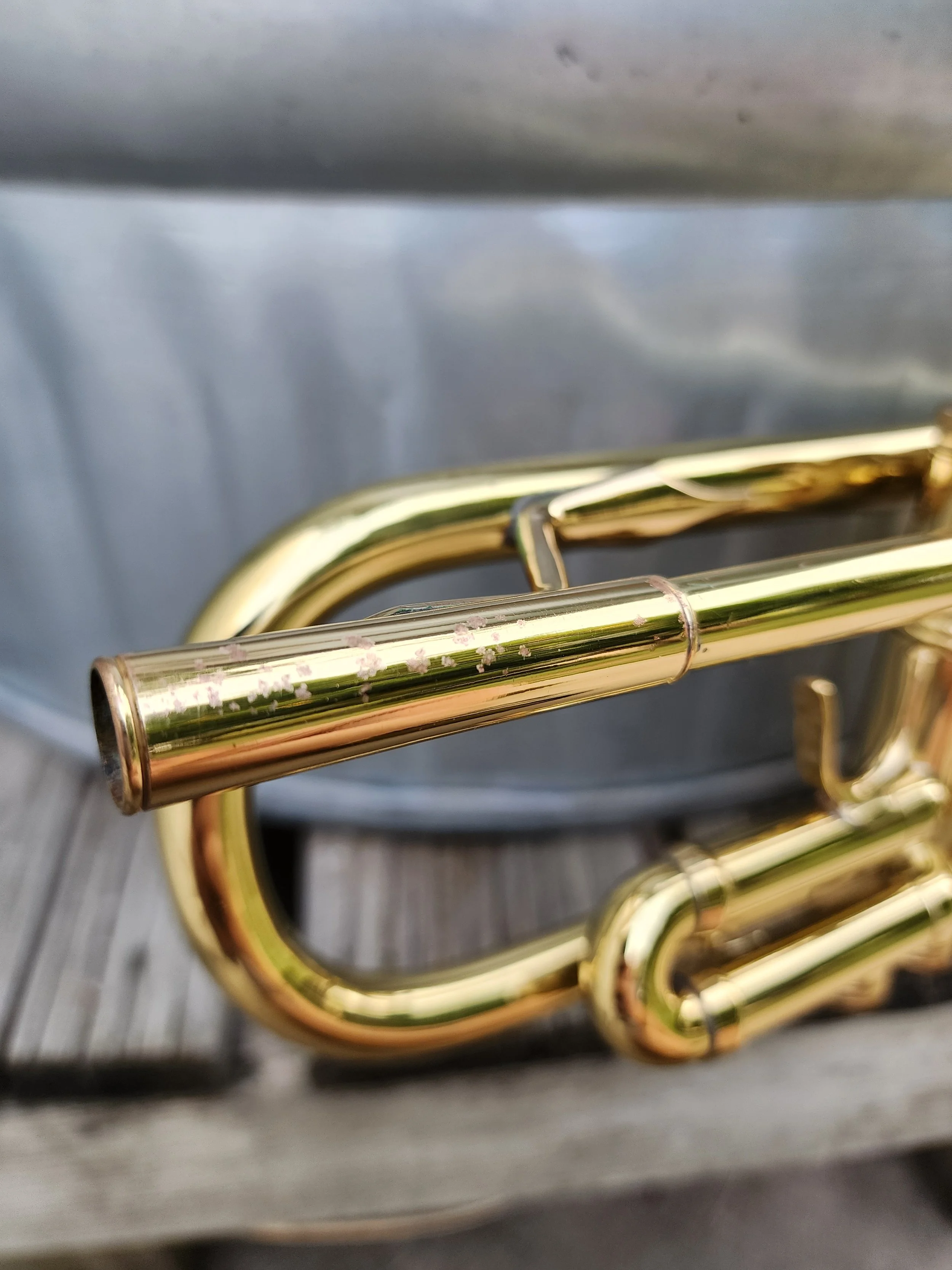 Frank Holton & Co Llewellyn Trumpet — Brass Mavens