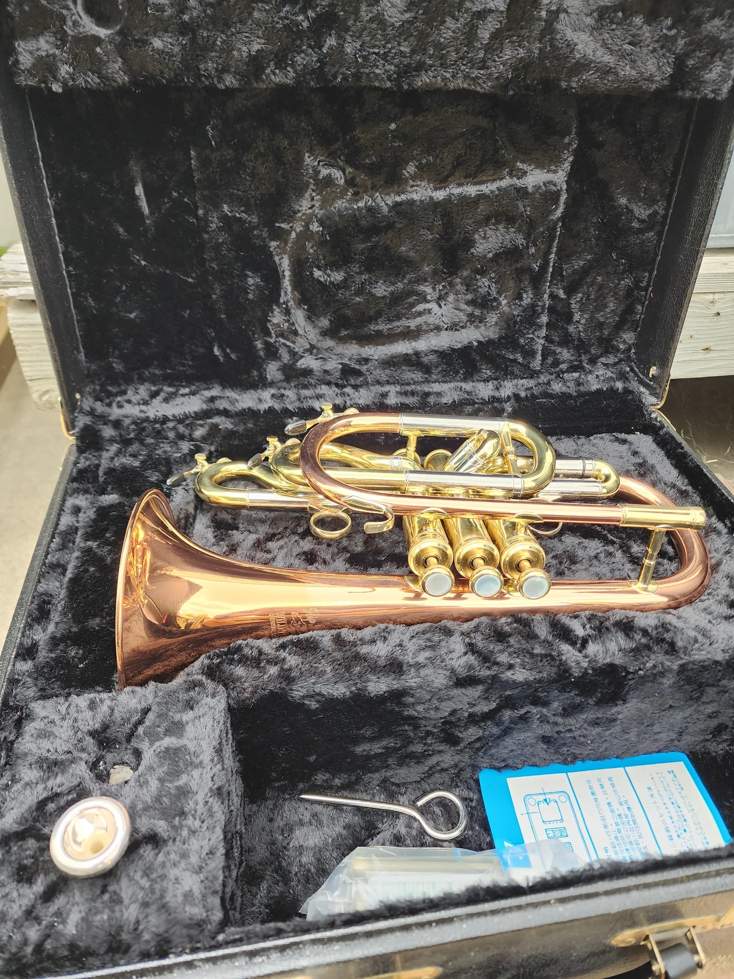 Flip Oakes Wild Thing Cornet — Brass Mavens