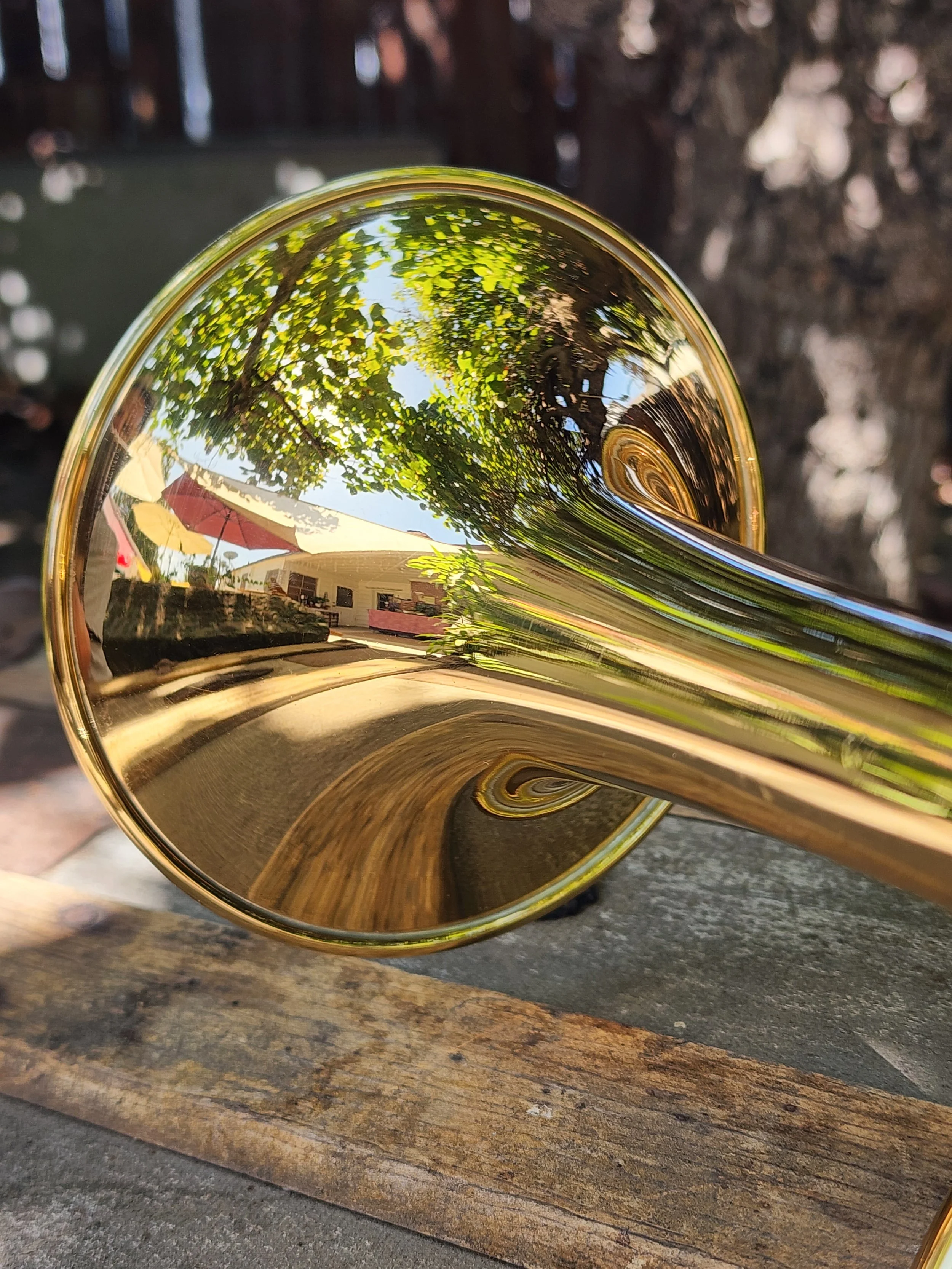 Andalucia Phase III Trumpet — Brass Mavens