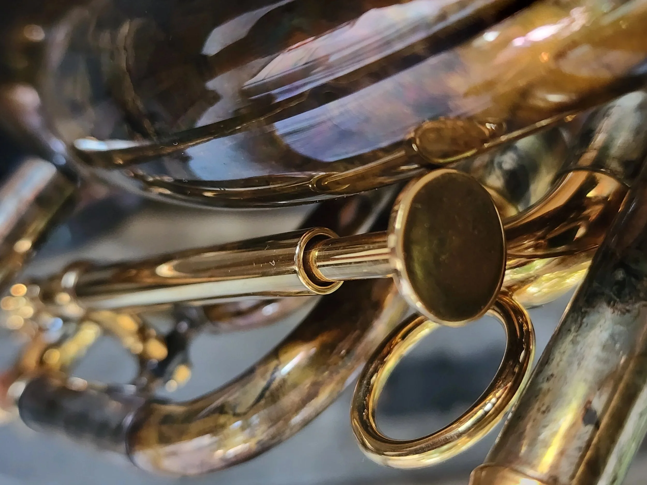 Frank Holton & Co Llewellyn Trumpet — Brass Mavens