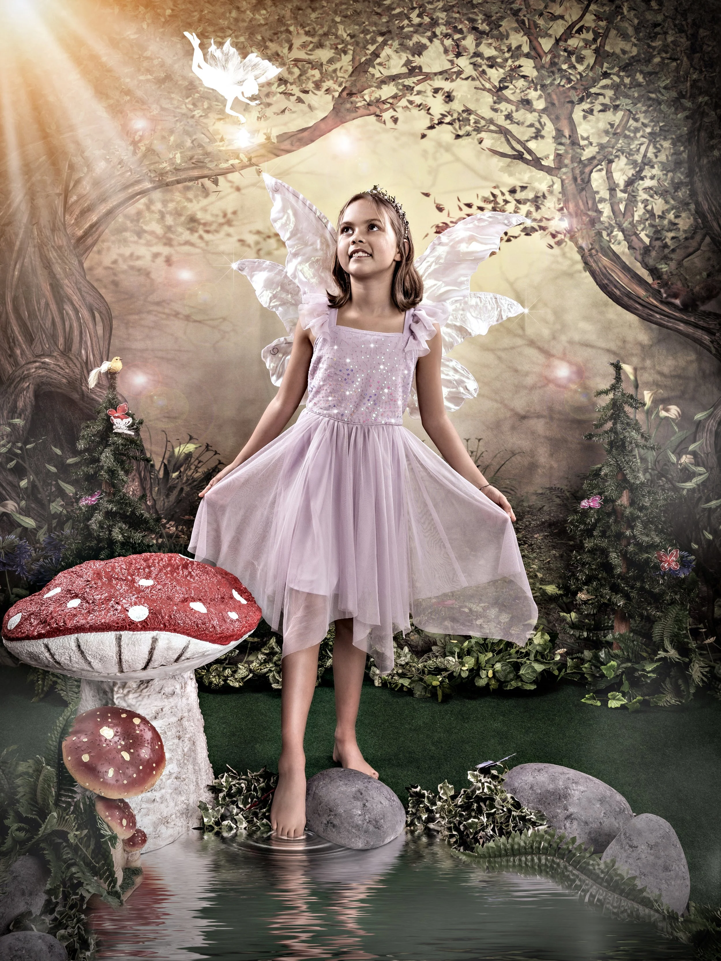 🧚‍♀️ WOODLAND FAIRIES 🧚‍♀️