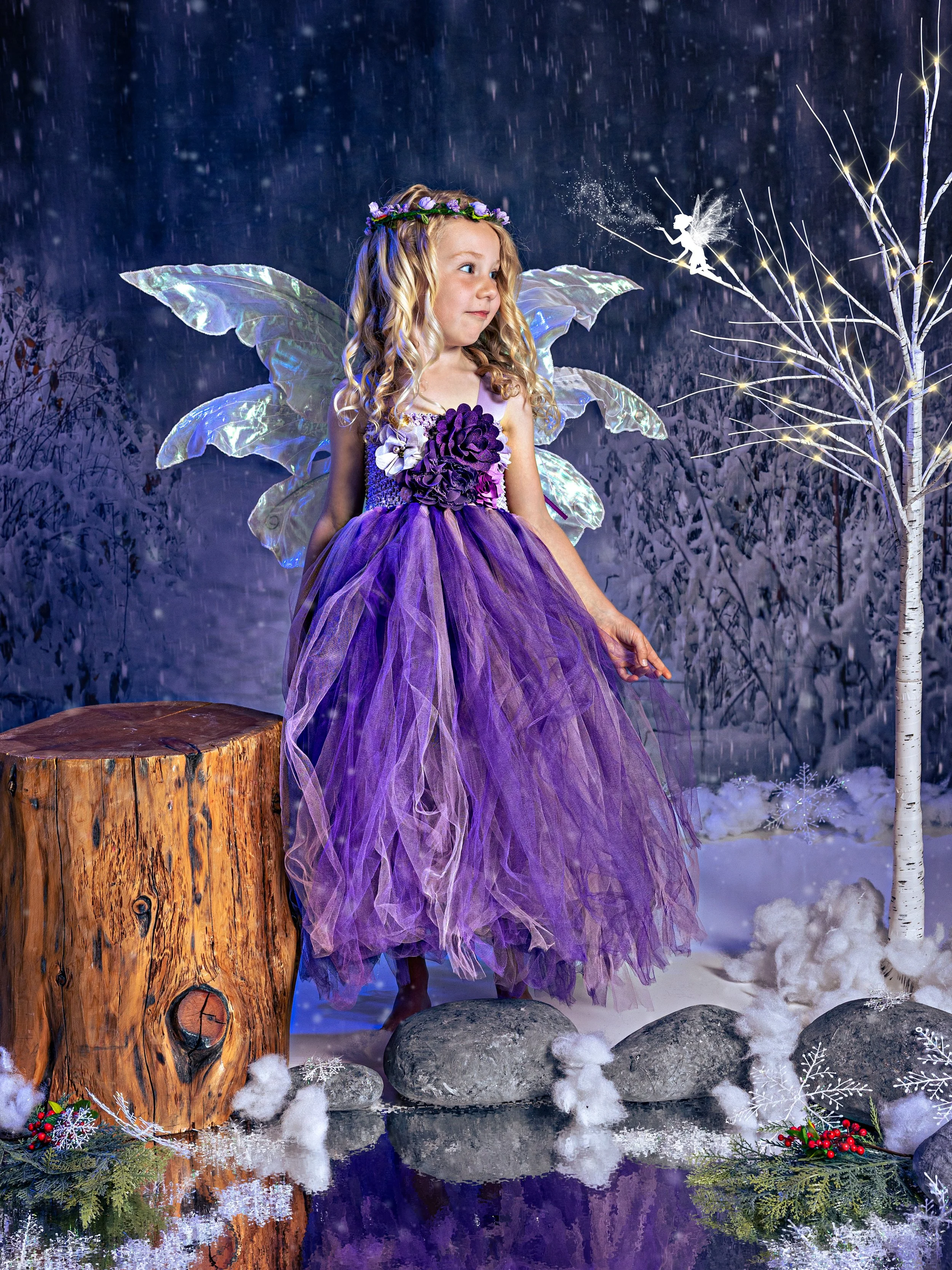 Fairy portrait session photographed at Studio Q Photography in Vancouver WA.