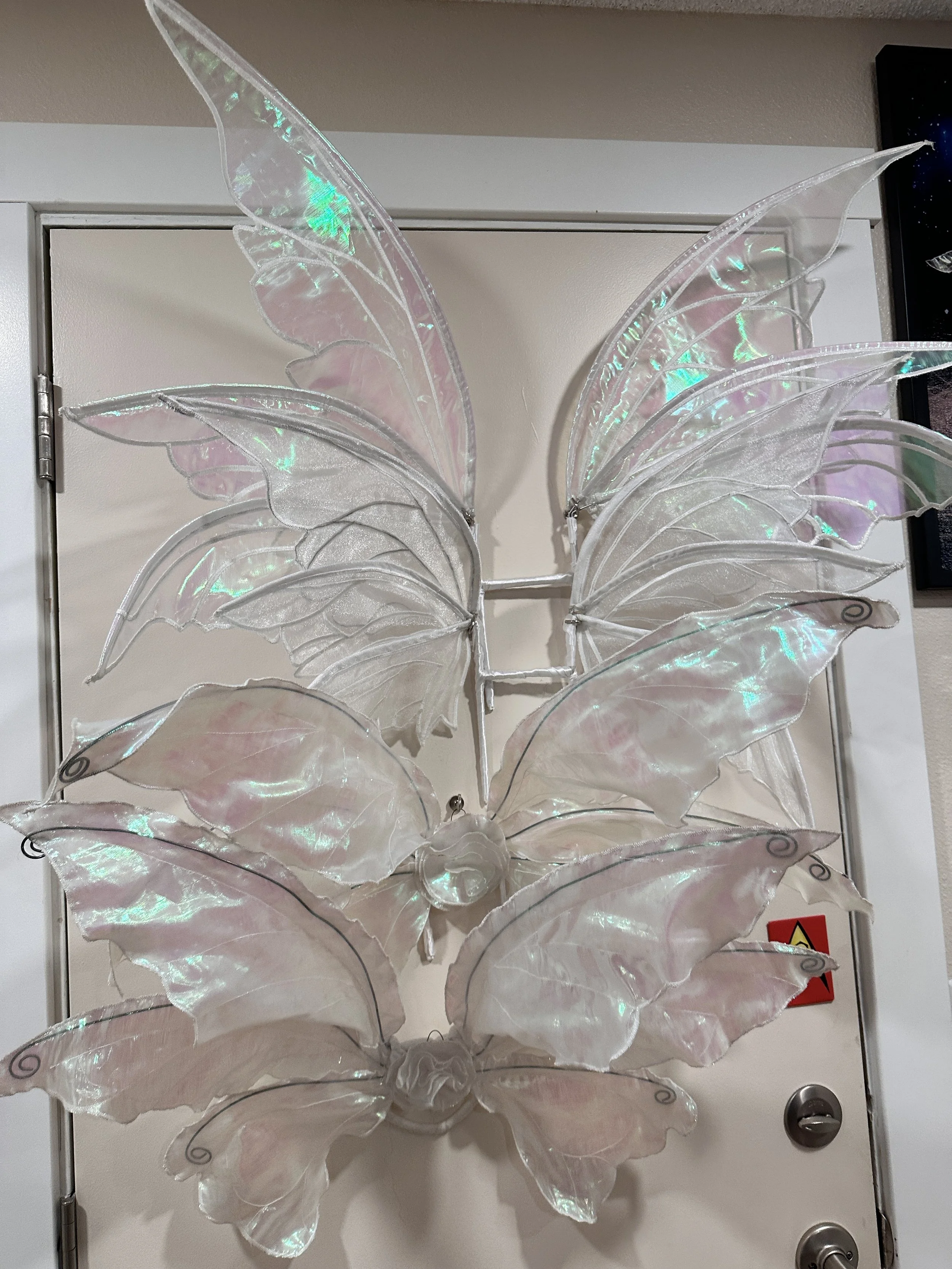 Collection of fairy wings