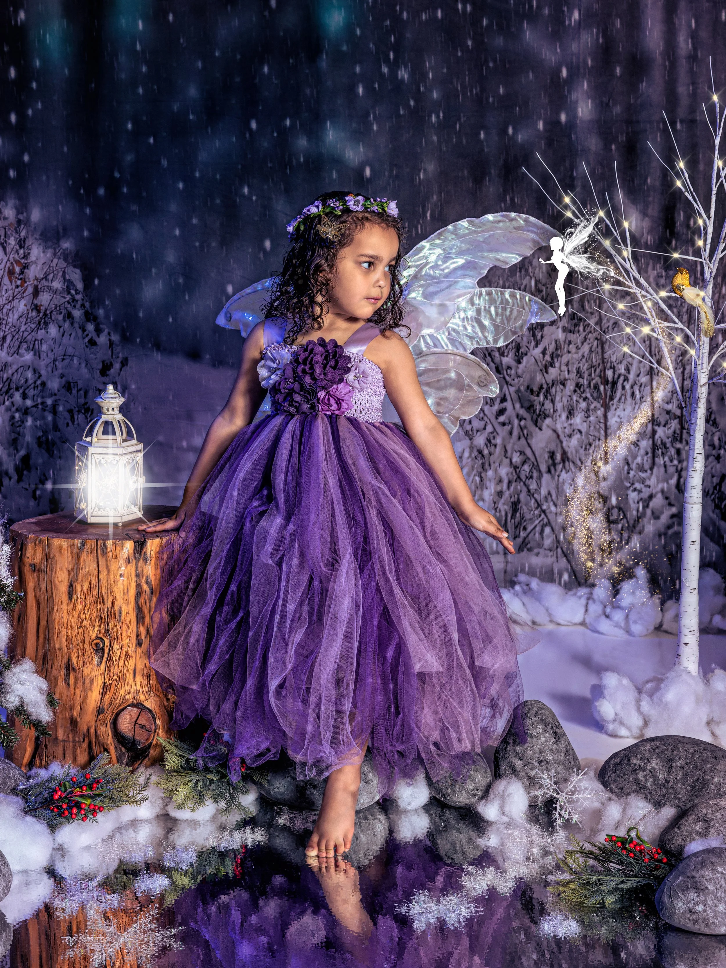 Fairy portrait session photographed at Studio Q Photography in Vancouver WA.