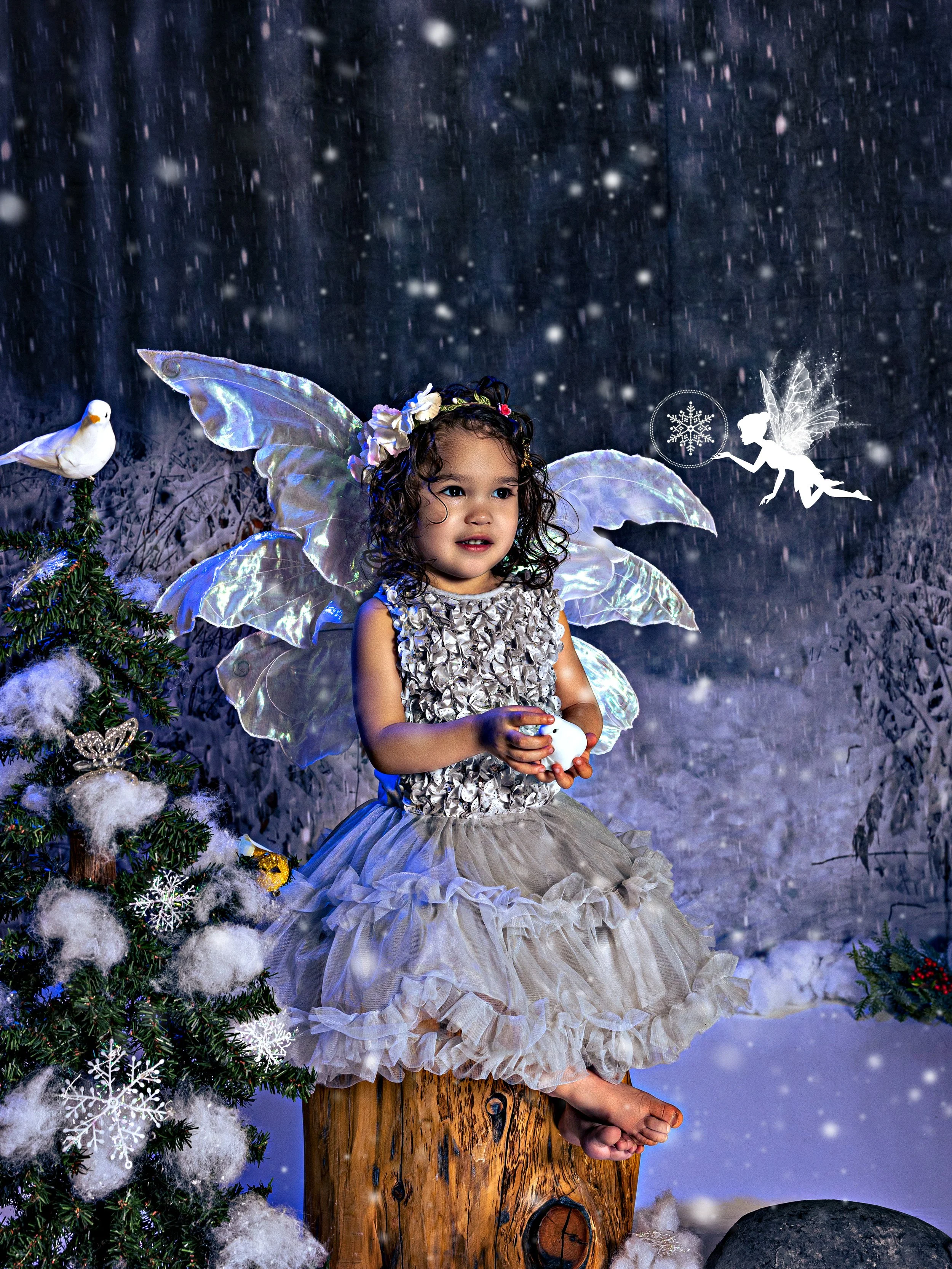 Fairy portrait session photographed at Studio Q Photography in Vancouver WA.